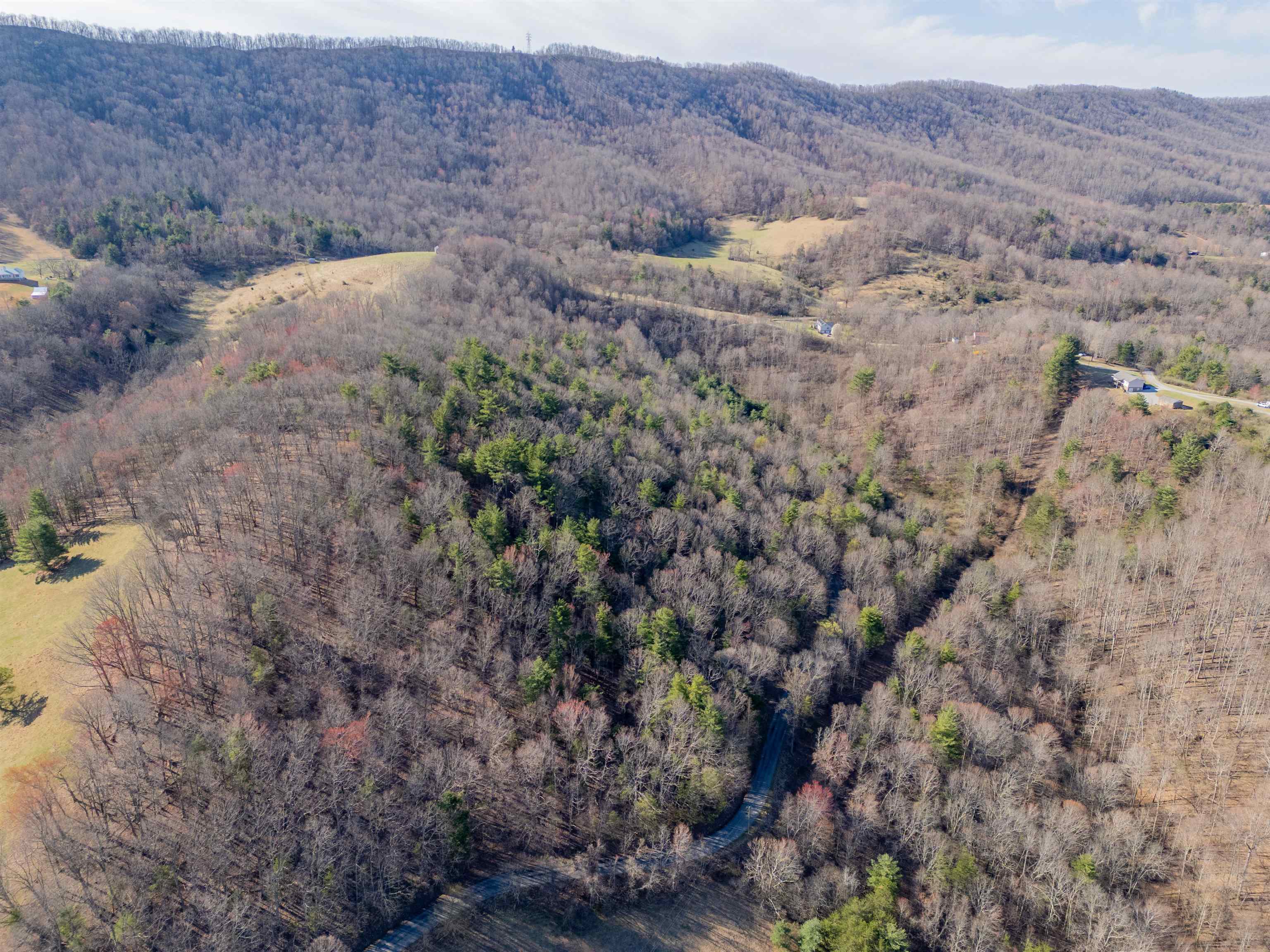 Pearisburg, Virginia 24134, United States, ,Land,Pending,99613