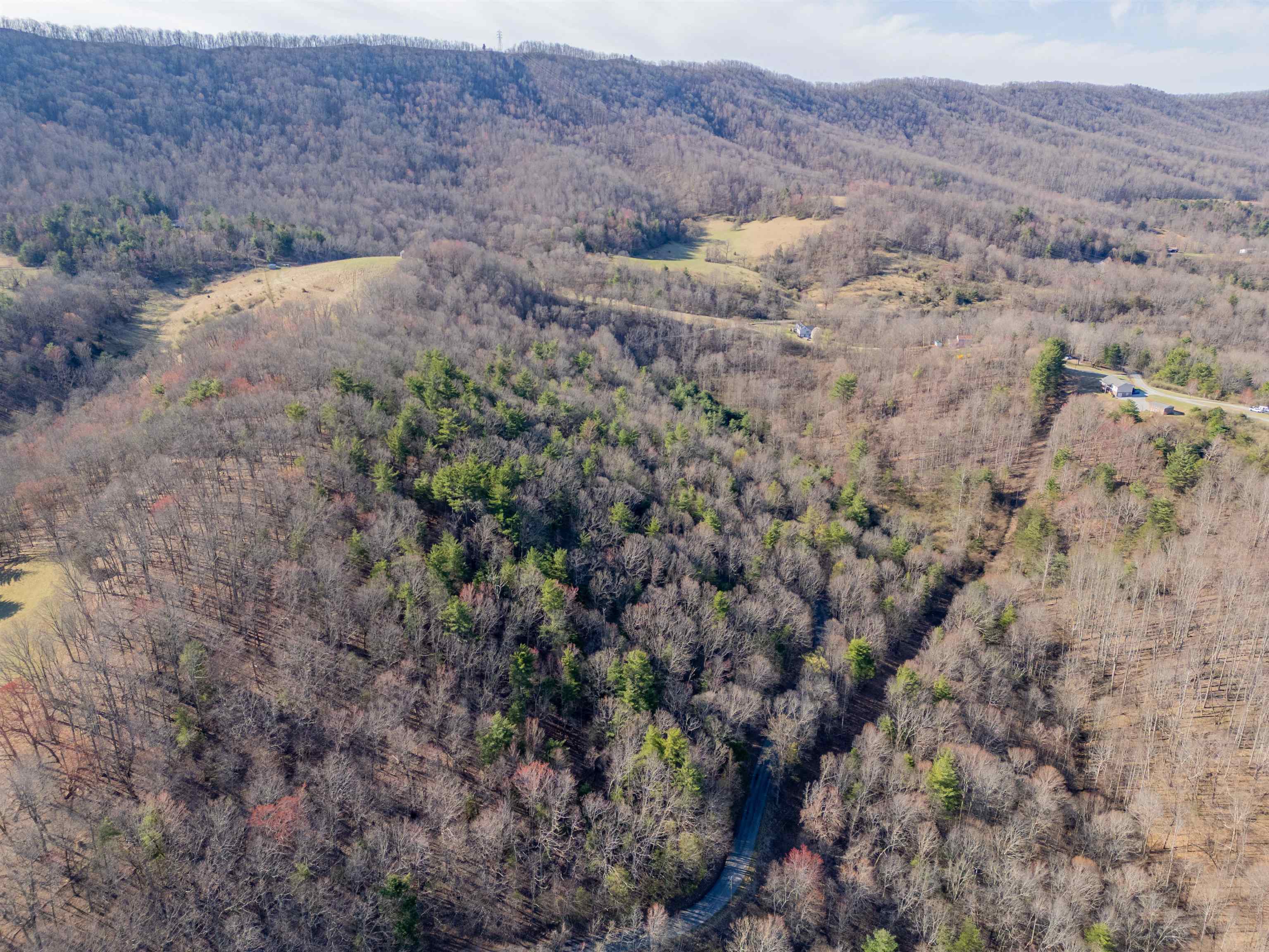 Pearisburg, Virginia 24134, United States, ,Land,Pending,99613