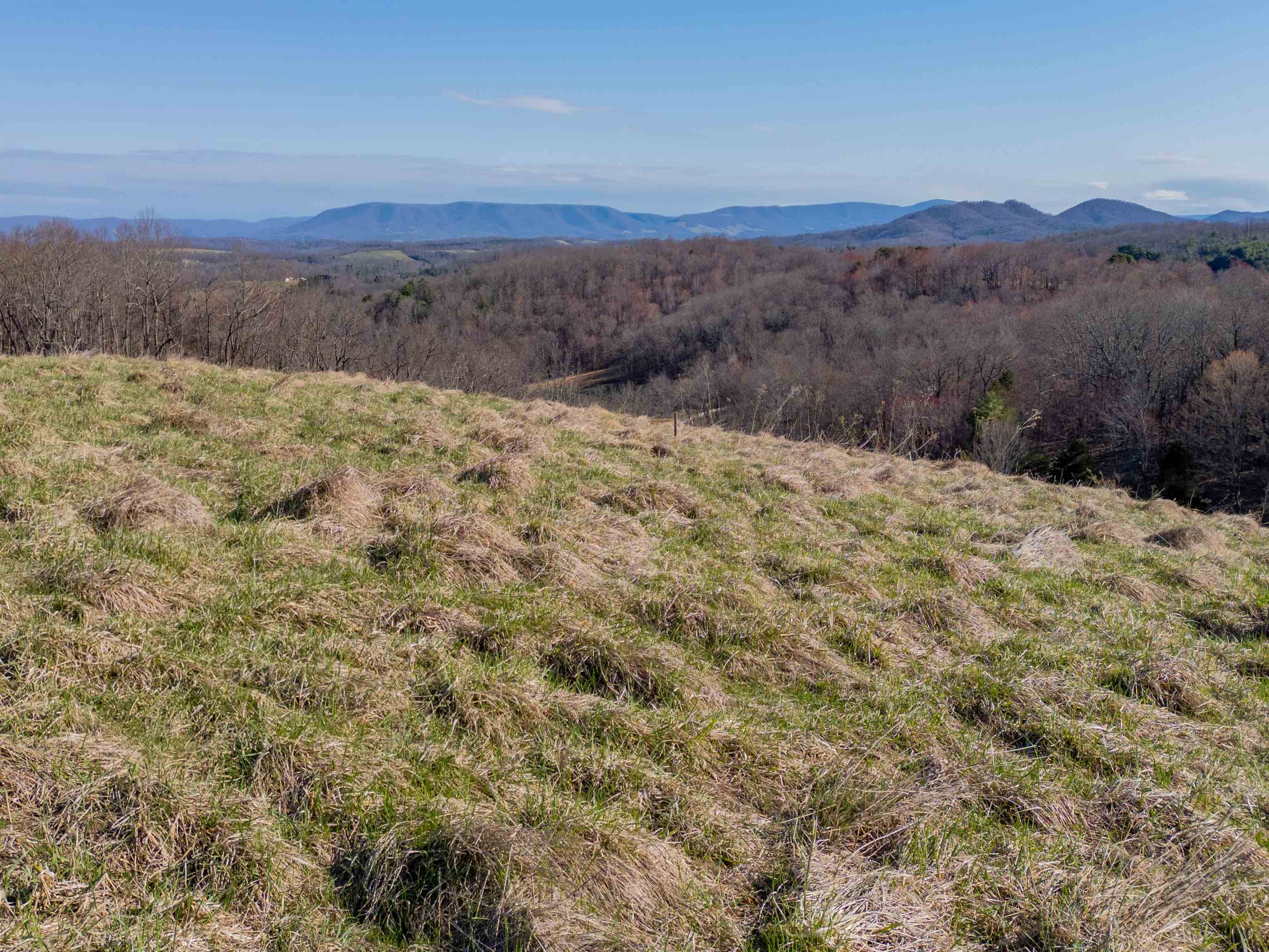 Pearisburg, Virginia 24134, United States, ,Land,Pending,99613