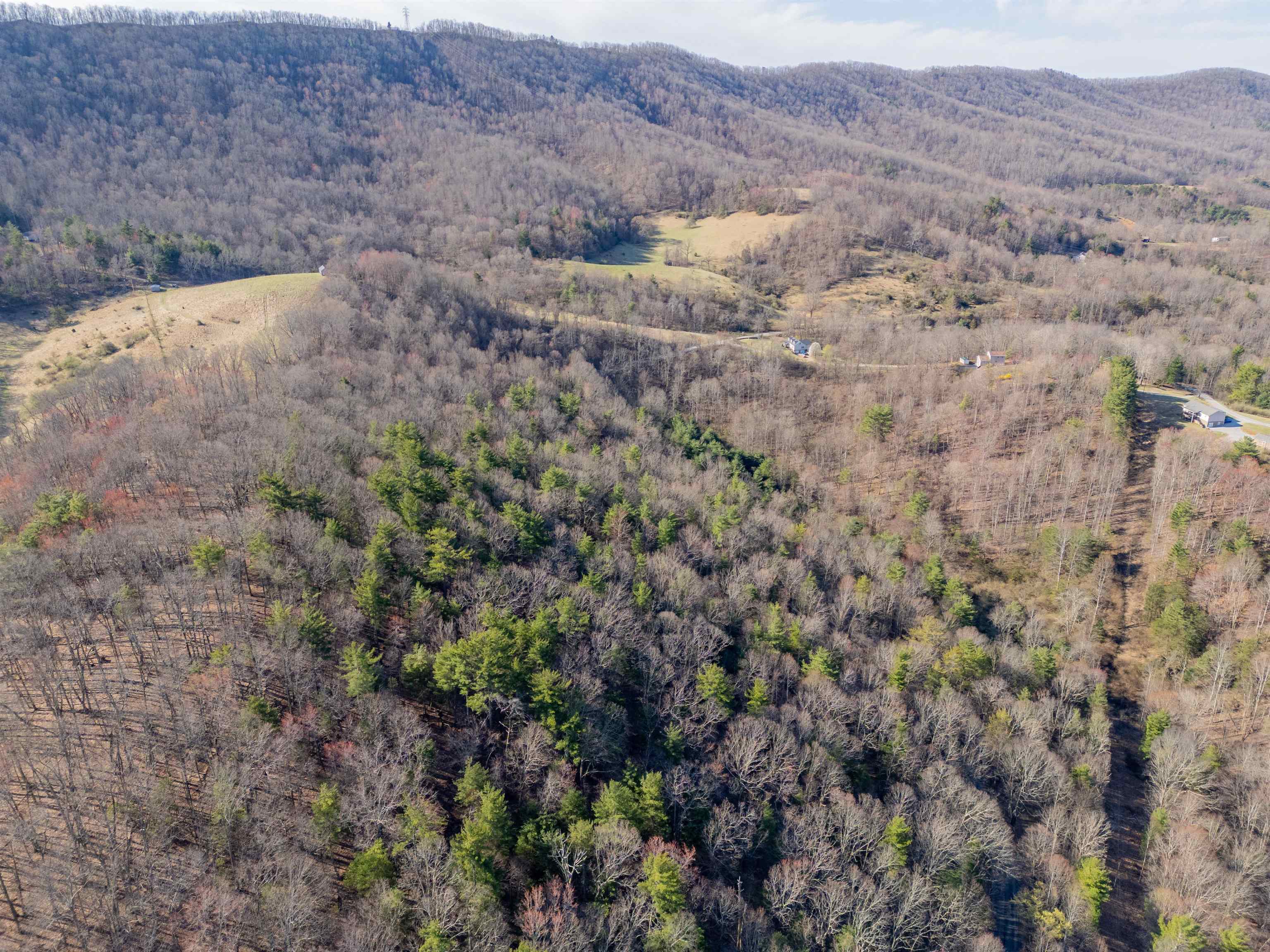 Pearisburg, Virginia 24134, United States, ,Land,Pending,99613