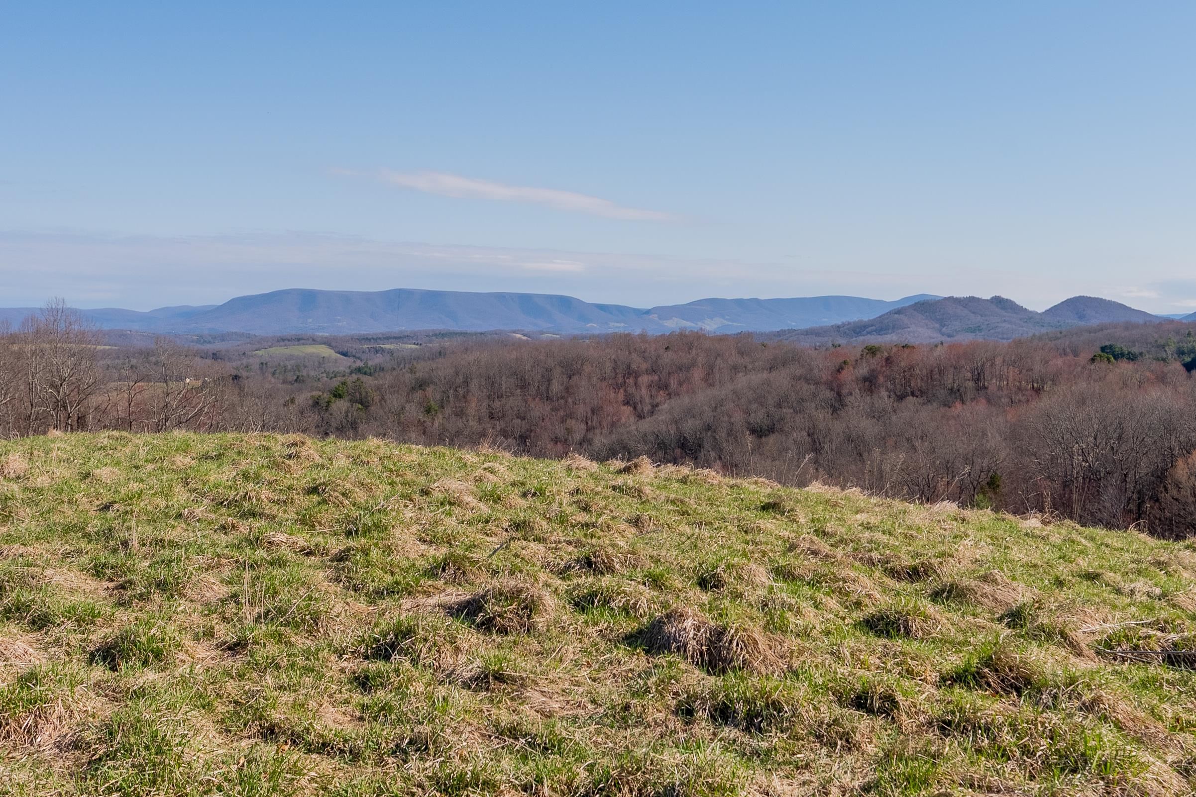 Pearisburg, Virginia 24134, United States, ,Land,Pending,99613