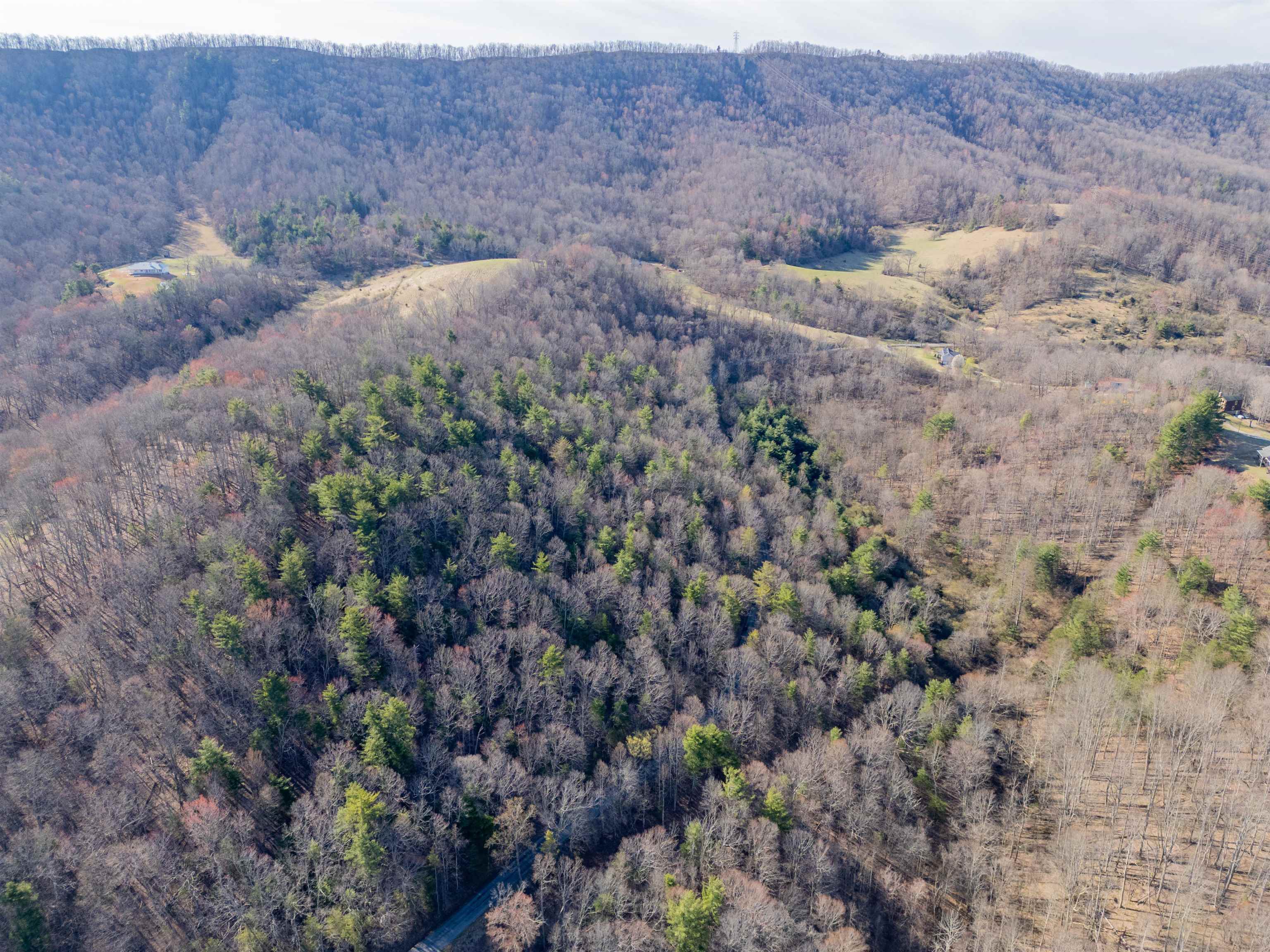 Pearisburg, Virginia 24134, United States, ,Land,Pending,99613