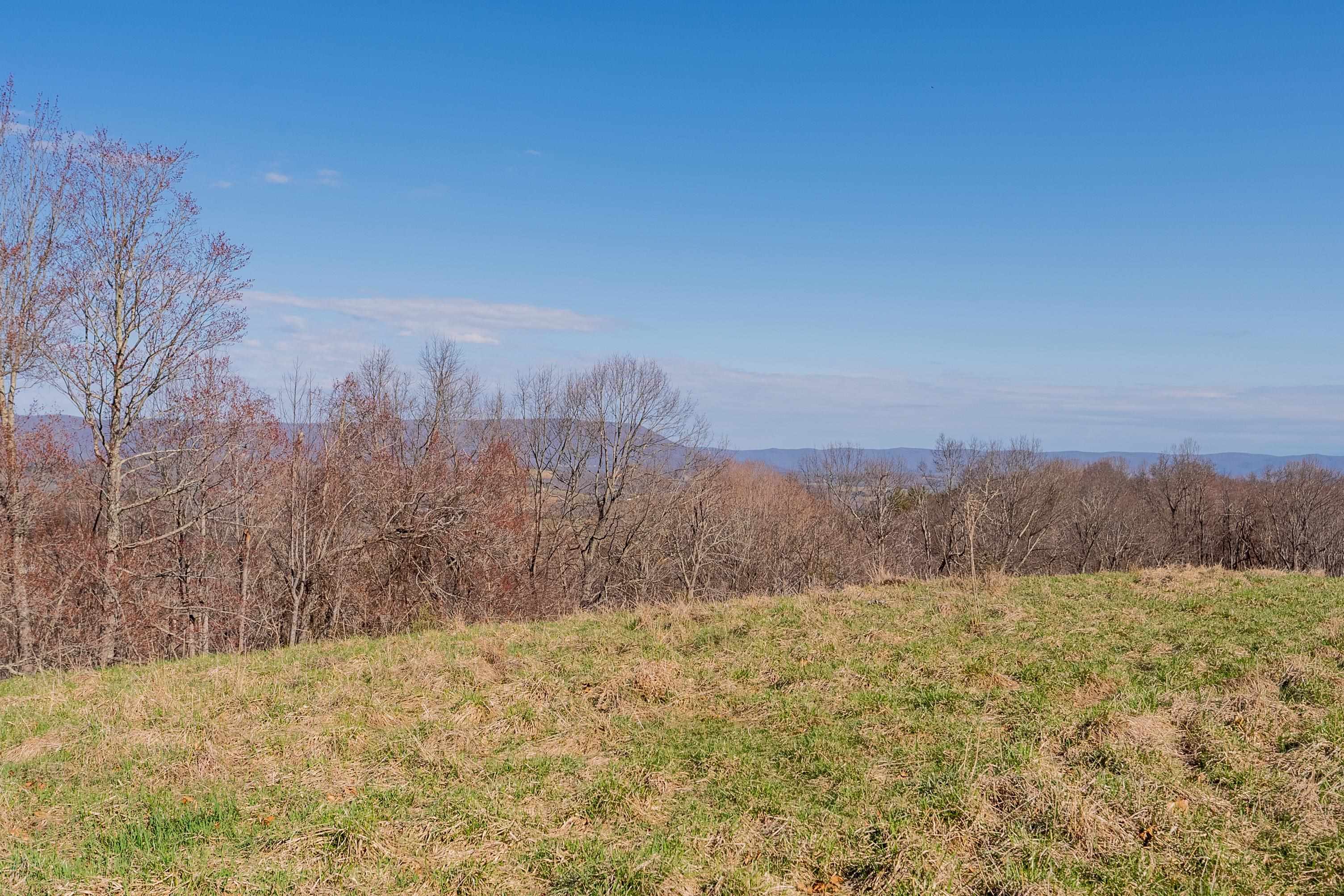 Pearisburg, Virginia 24134, United States, ,Land,Pending,99613