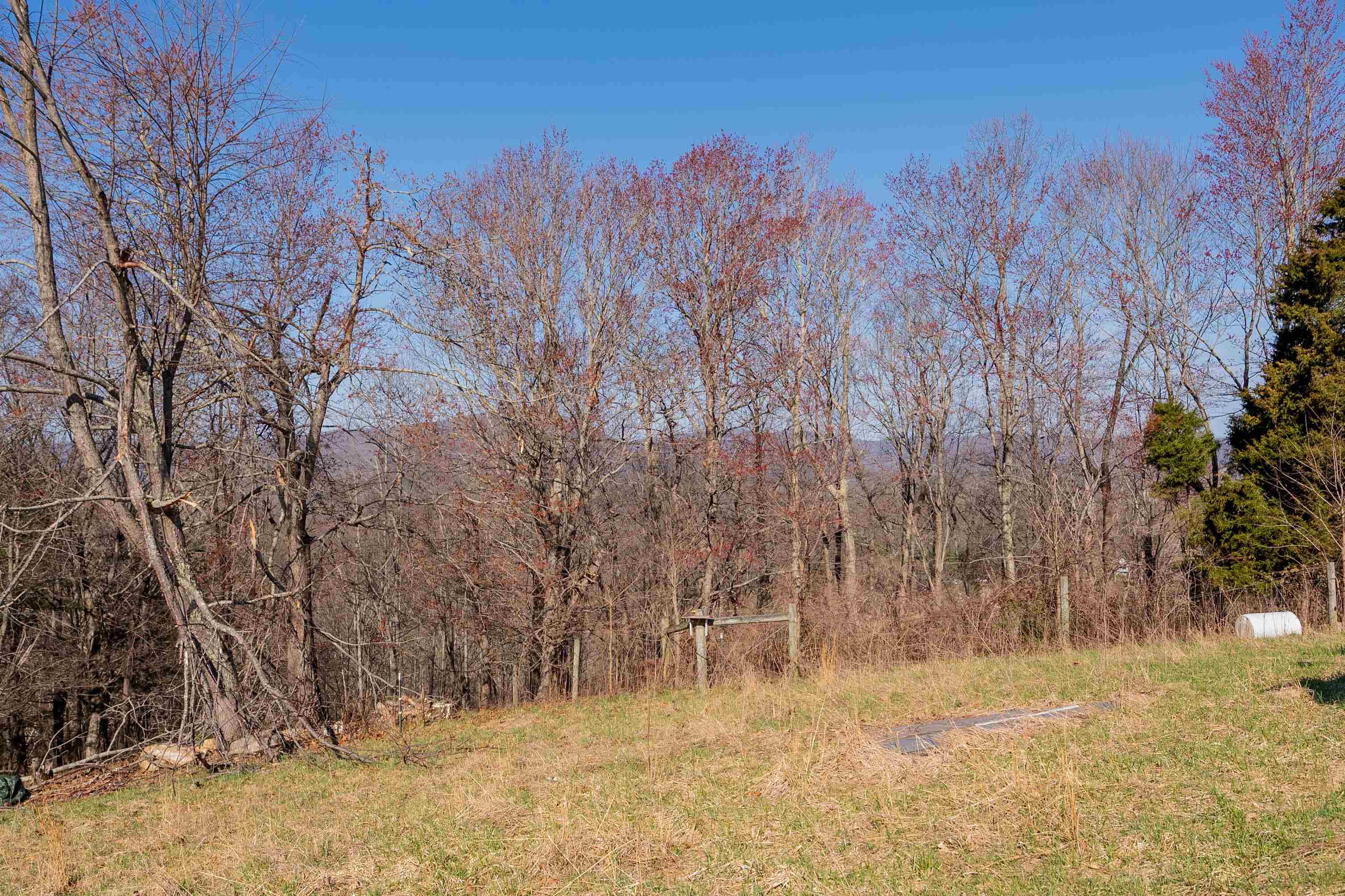 Pearisburg, Virginia 24134, United States, ,Land,Pending,99613