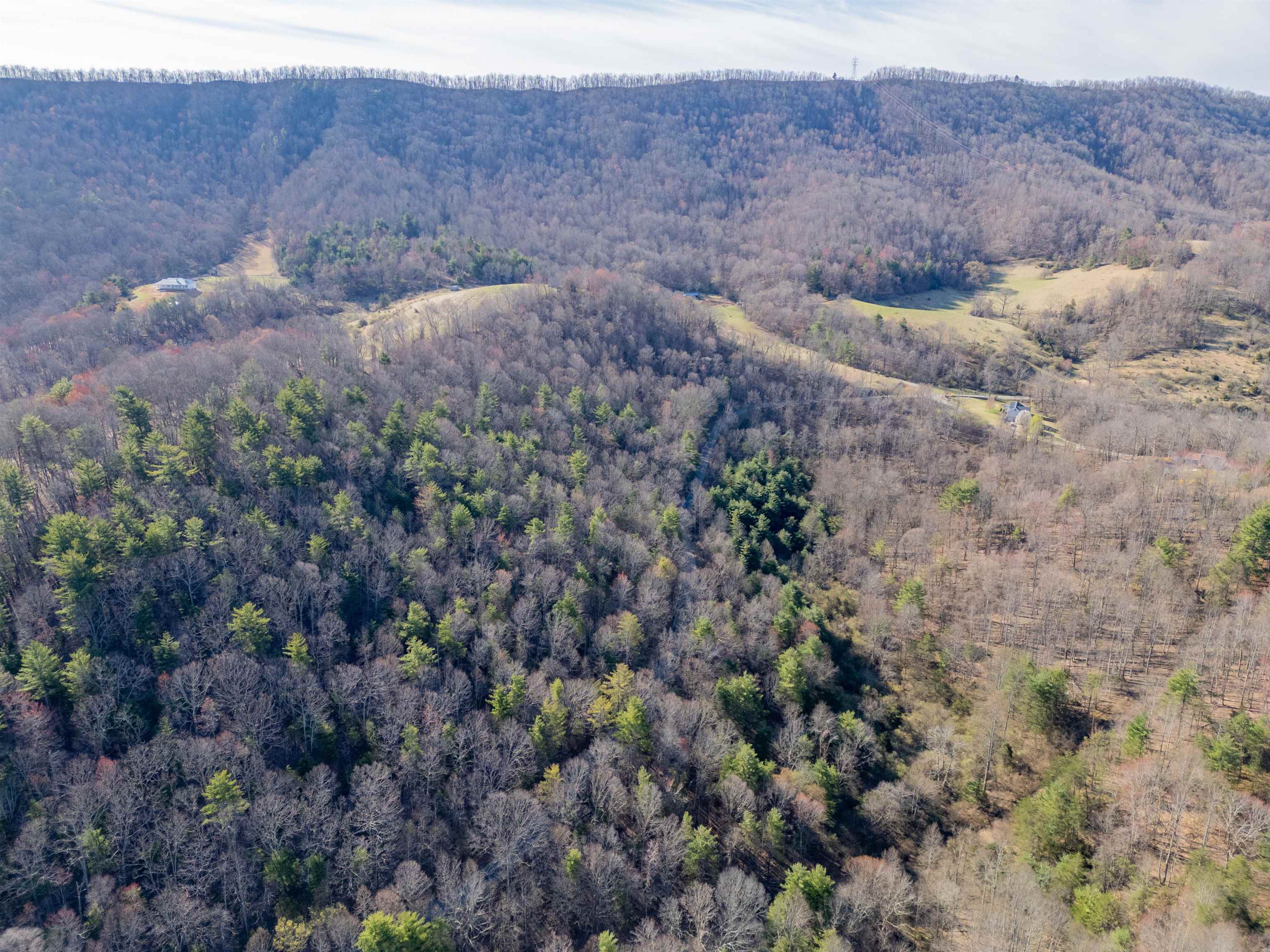 Pearisburg, Virginia 24134, United States, ,Land,Pending,99613