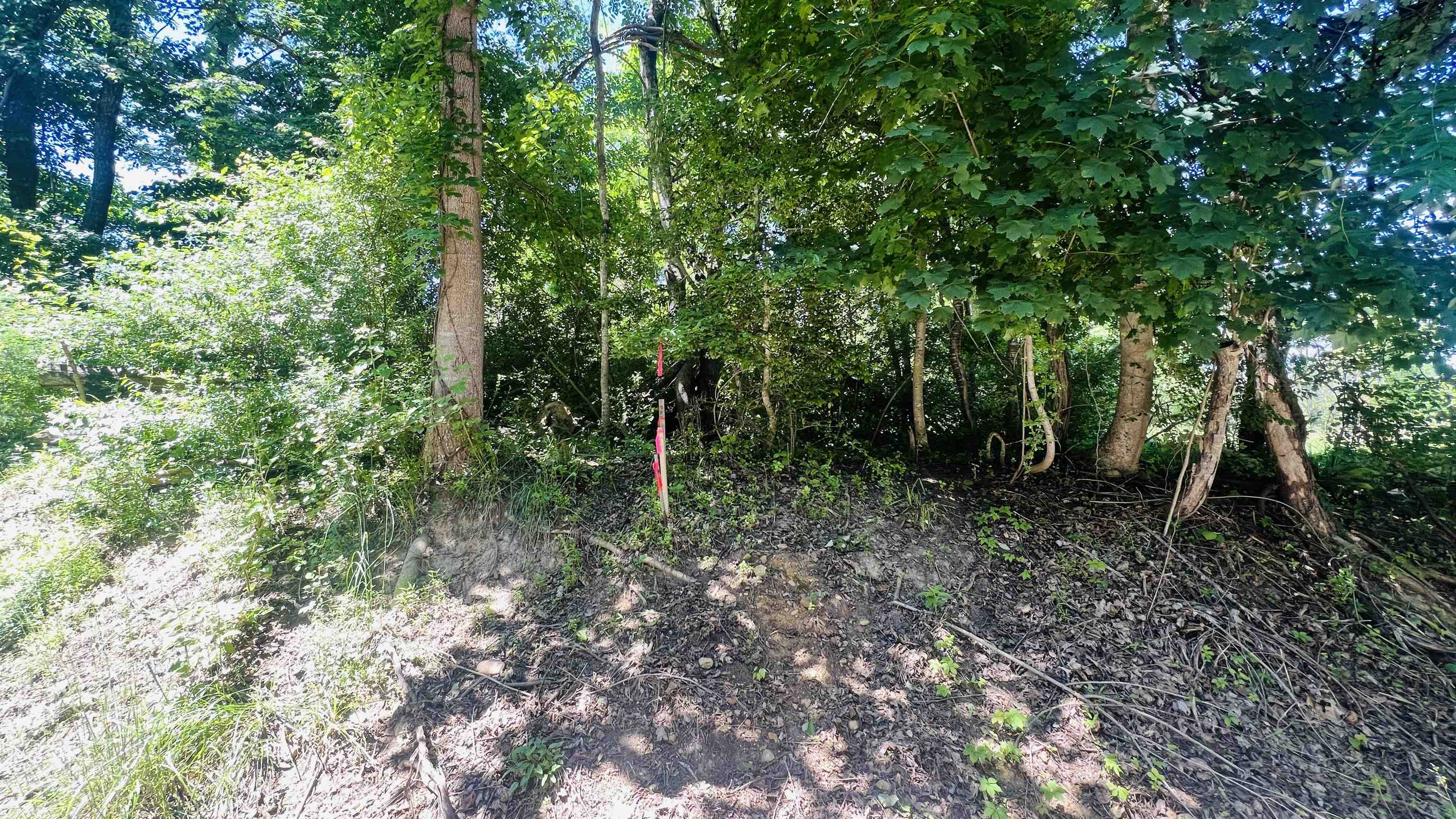 Lot 234 Appalachian Road