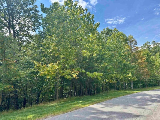 1030 TREETOP RIDGE RD, BLACKSBURG, VA 24060 - Image 3ec232dfce550ebfdb4ec8d9c4ba6bd3/439129054