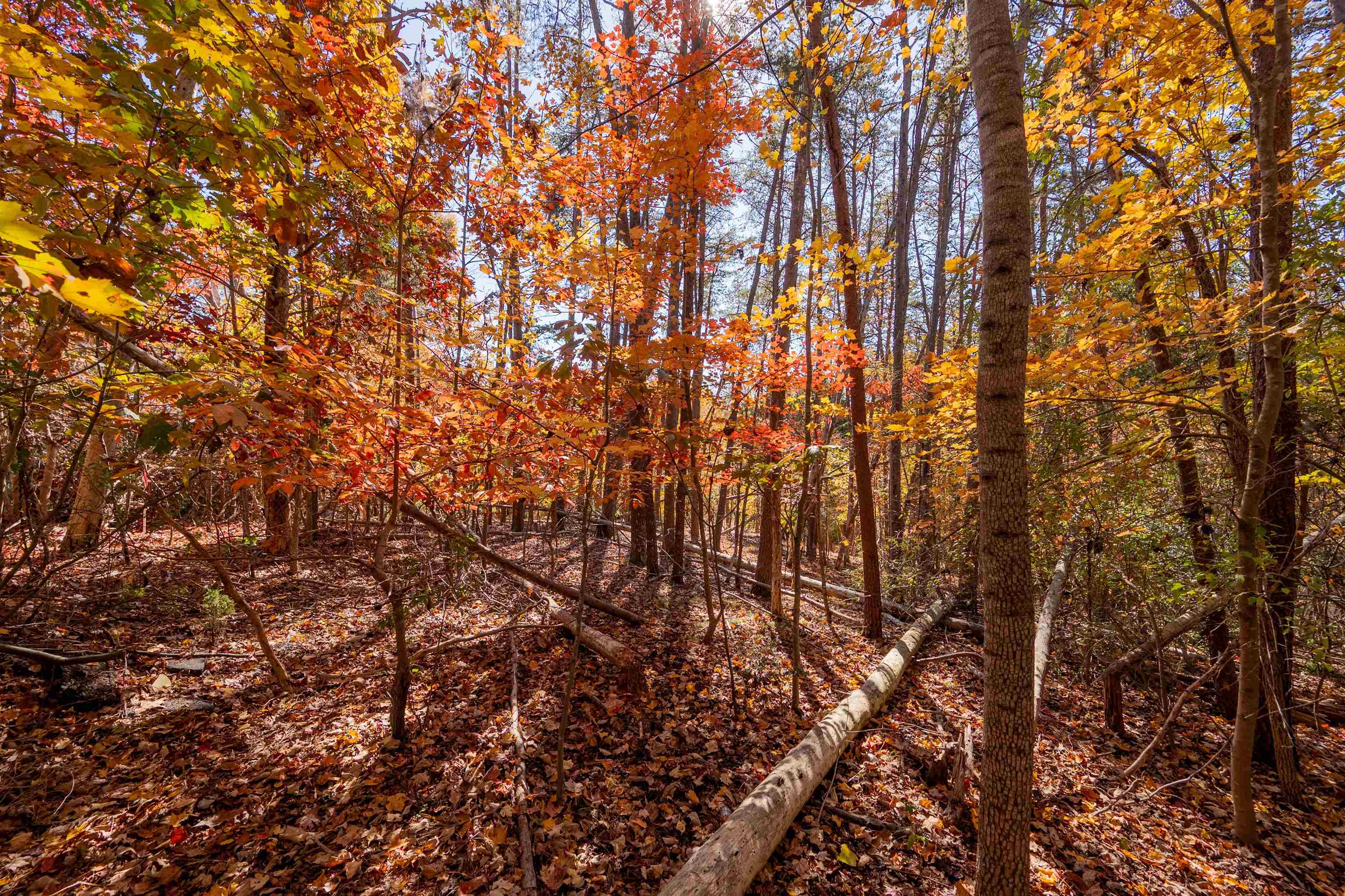 Moneta, Virginia 24121, United States, ,Land,Active,249014