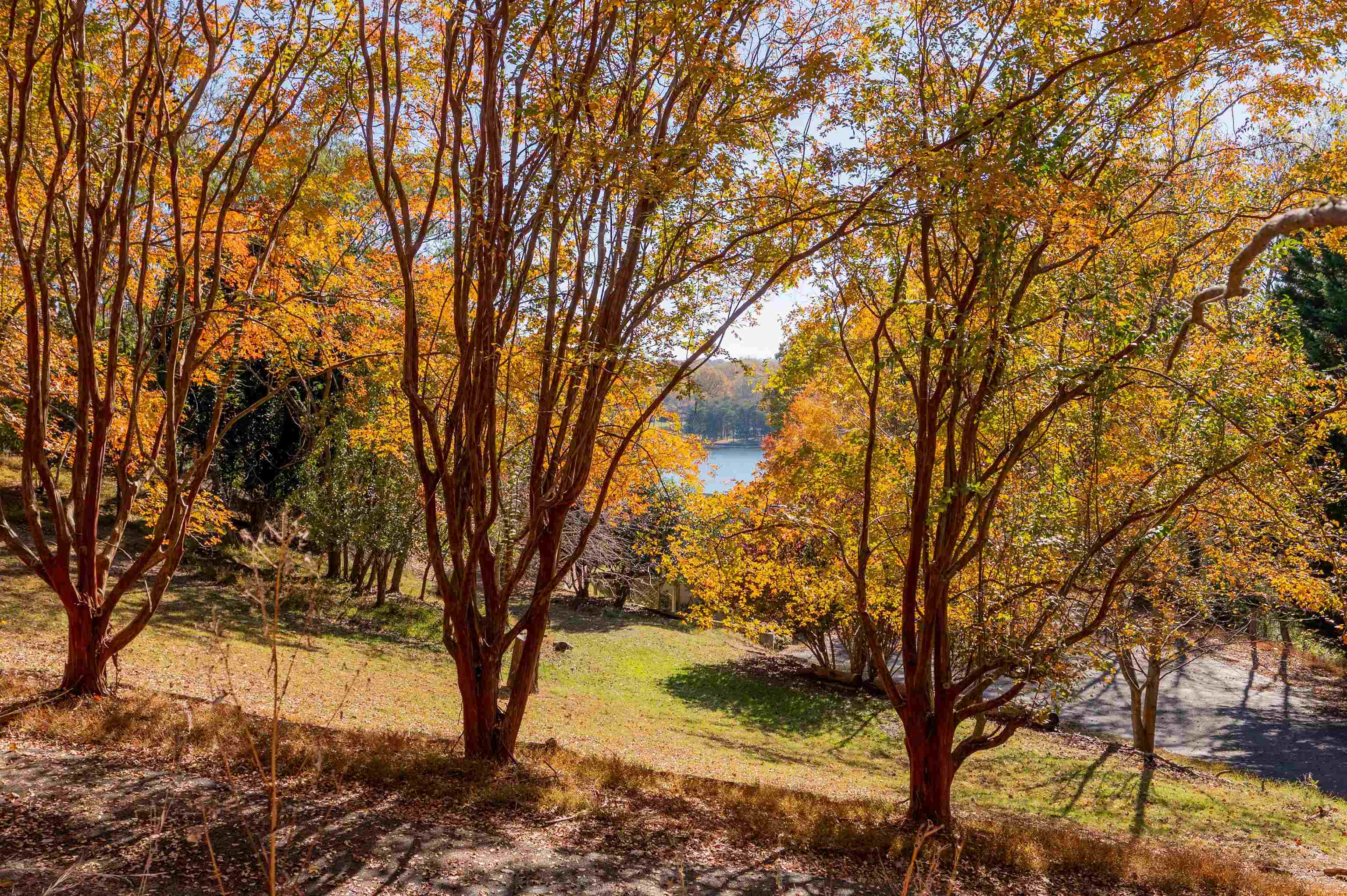 Moneta, Virginia 24121, United States, ,Land,Active,249014