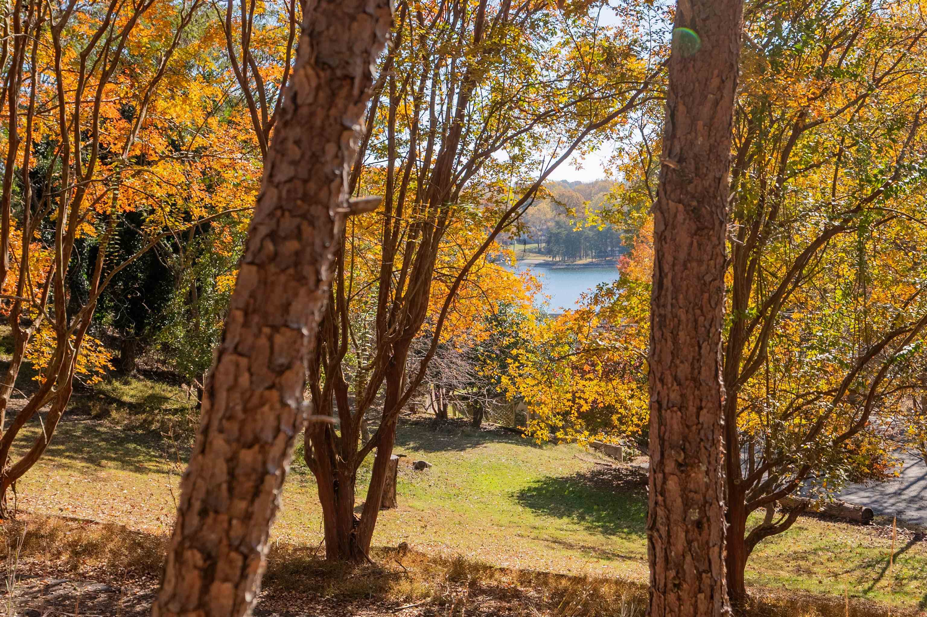 Moneta, Virginia 24121, United States, ,Land,Active,249014