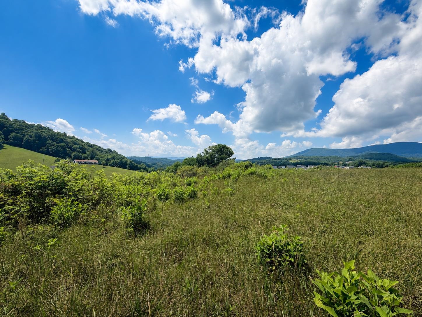 Lot 1 Green Tree Road