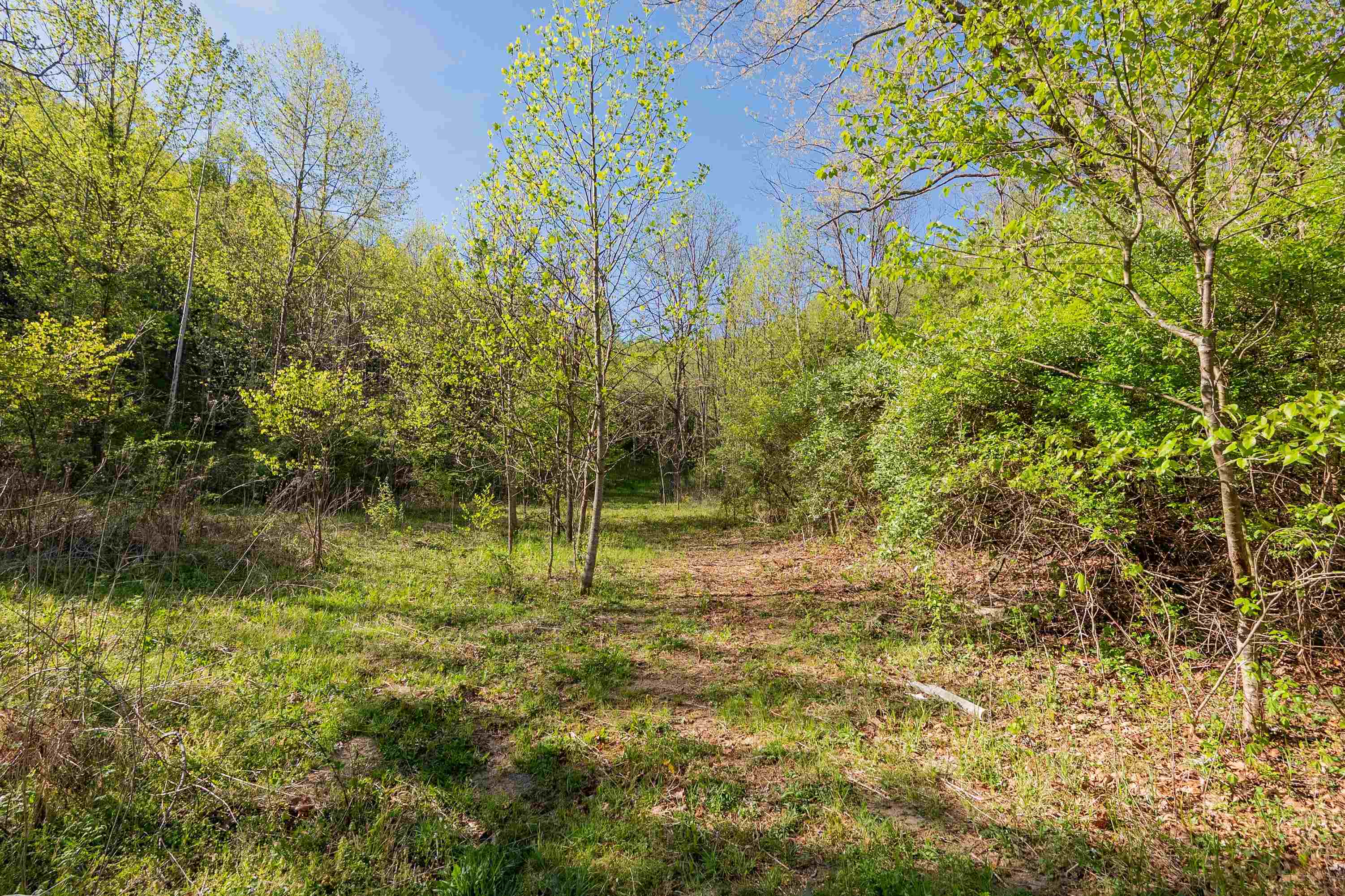 2819 Wolf Creek Road