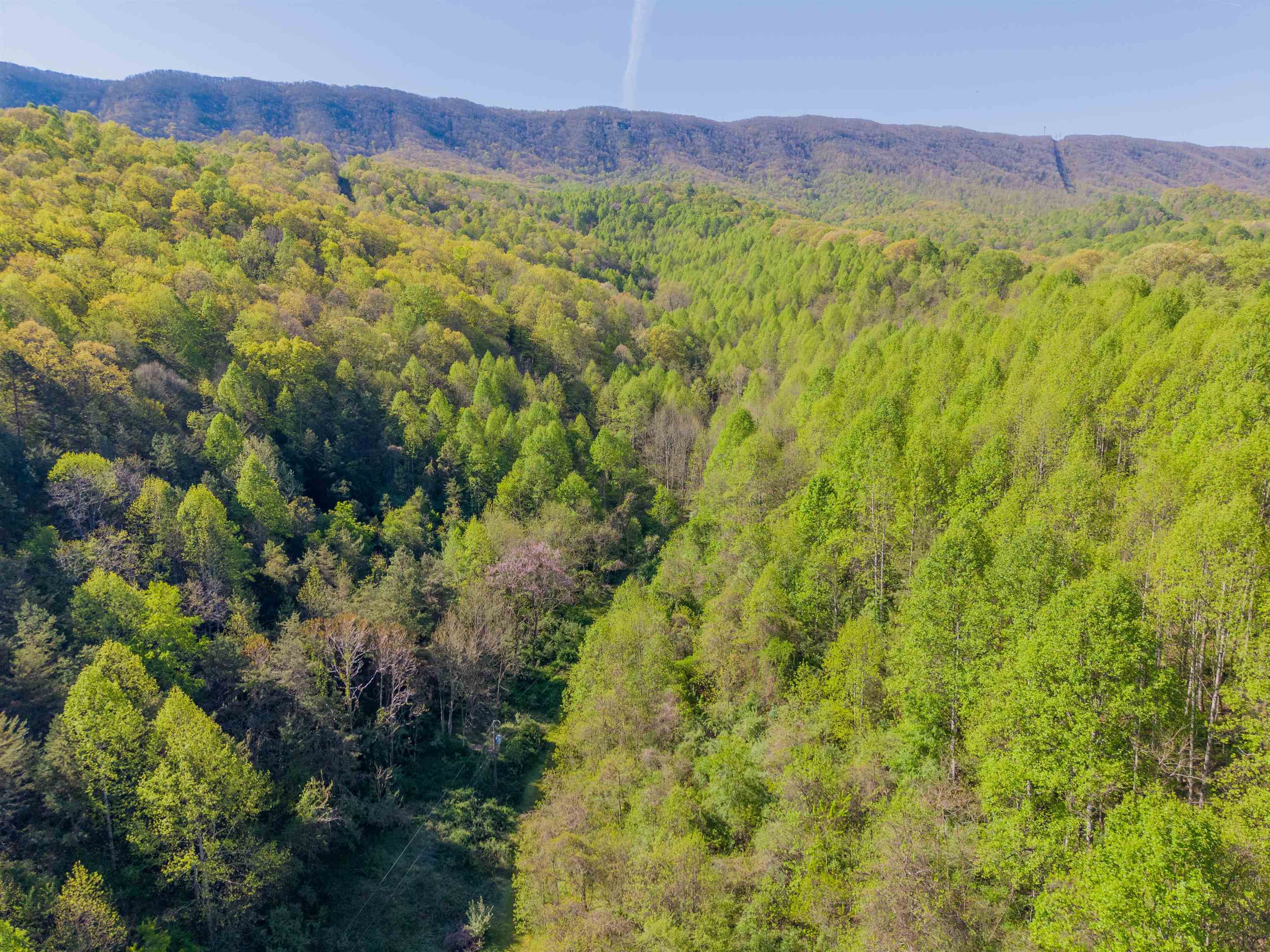 2819 Wolf Creek Road