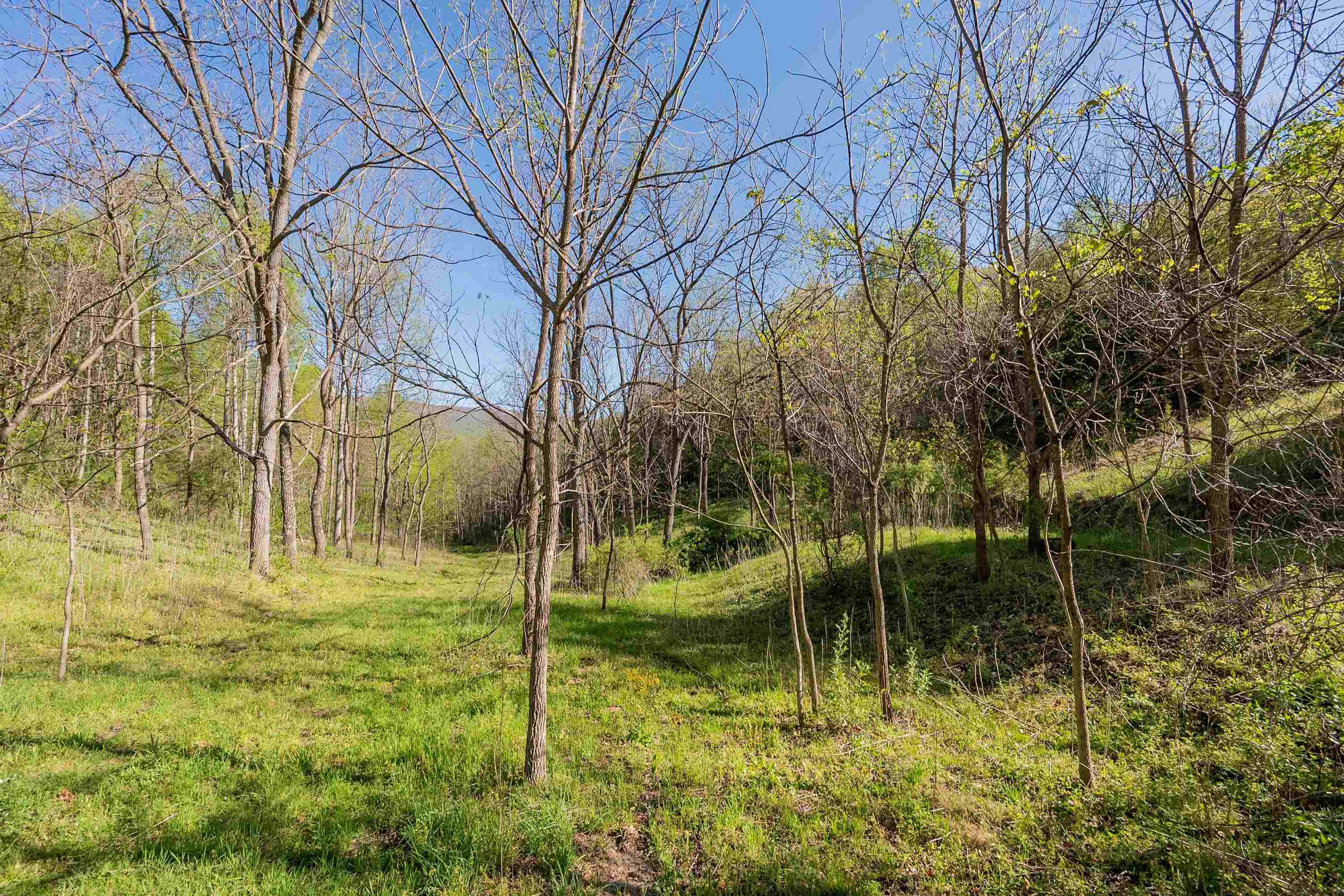 2819 Wolf Creek Road