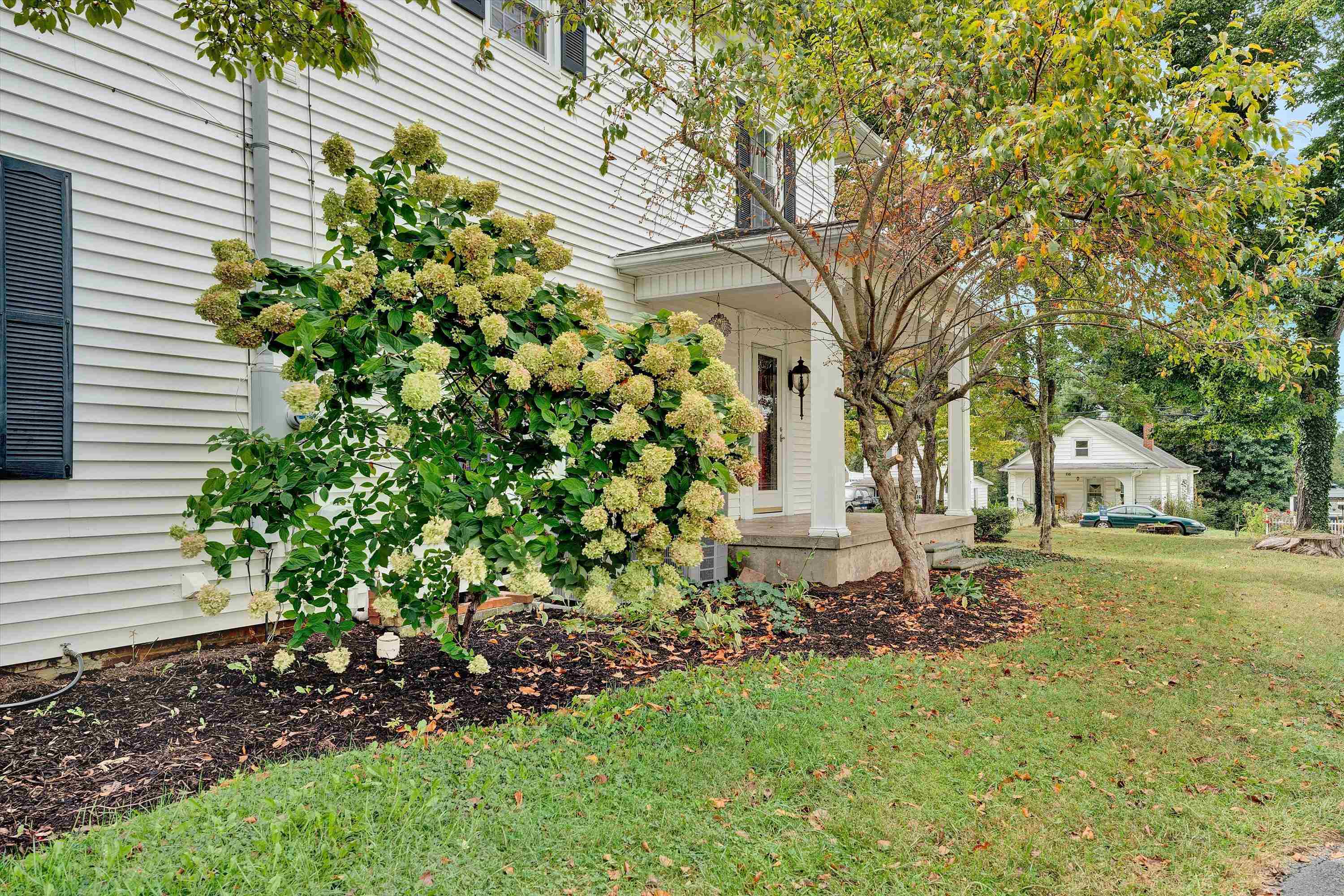 115 Lester Street