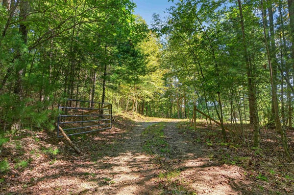 ADDRESS PRIVATE, GALAX CITY, VA  - Image 51e2d31b3a1b1f651fb4fcb537f3d9aa/3442830195