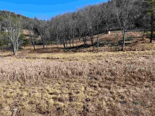 TBD PILOT ROAD, CHRISTIANSBURG, VA 24073 - Image 55e84d549ef06abc401af2bc2ef203c2/2322700243