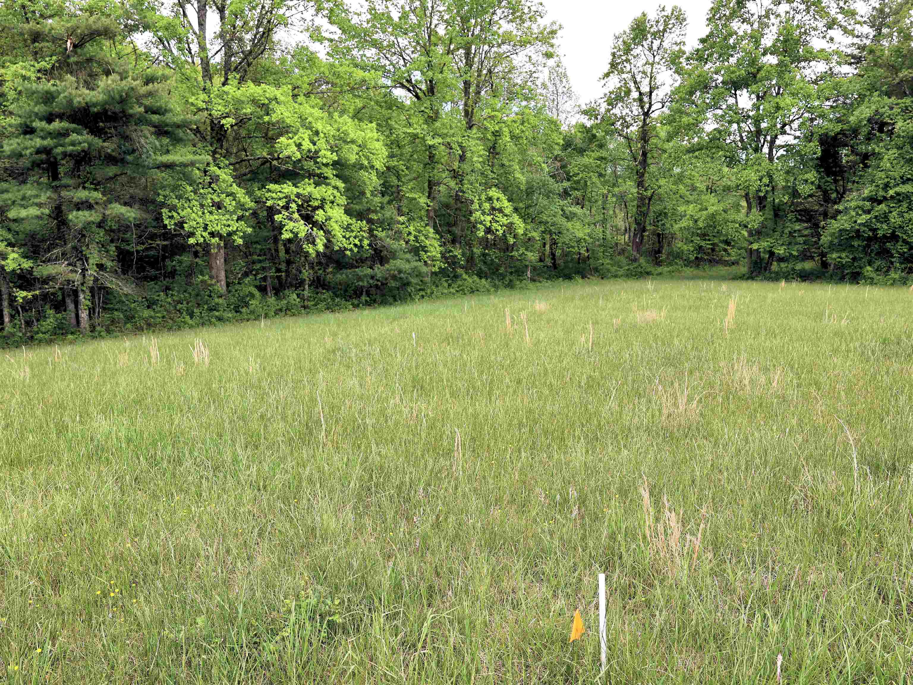 TBD Franklin Pike SE