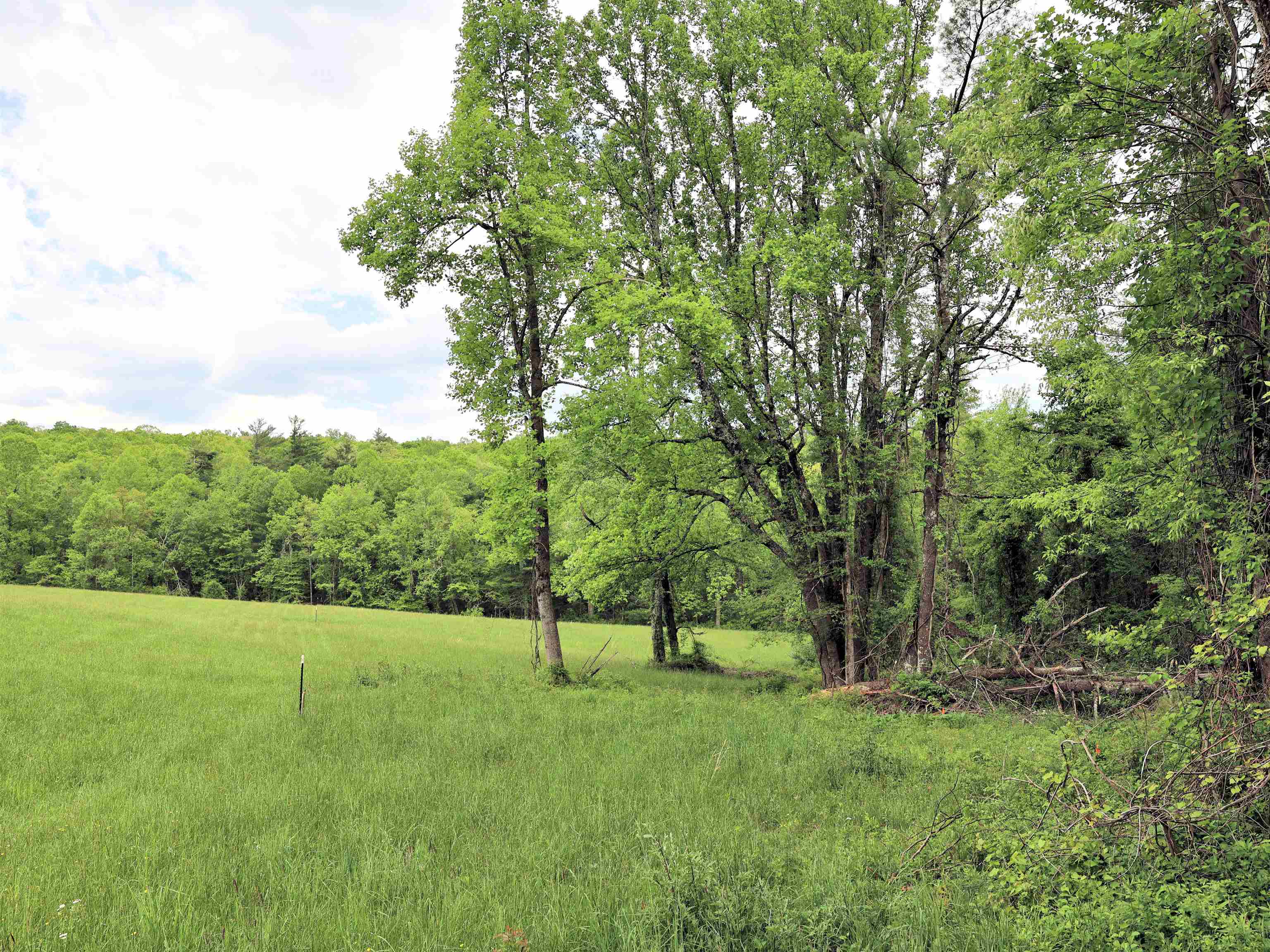 TBD Franklin Pike SE