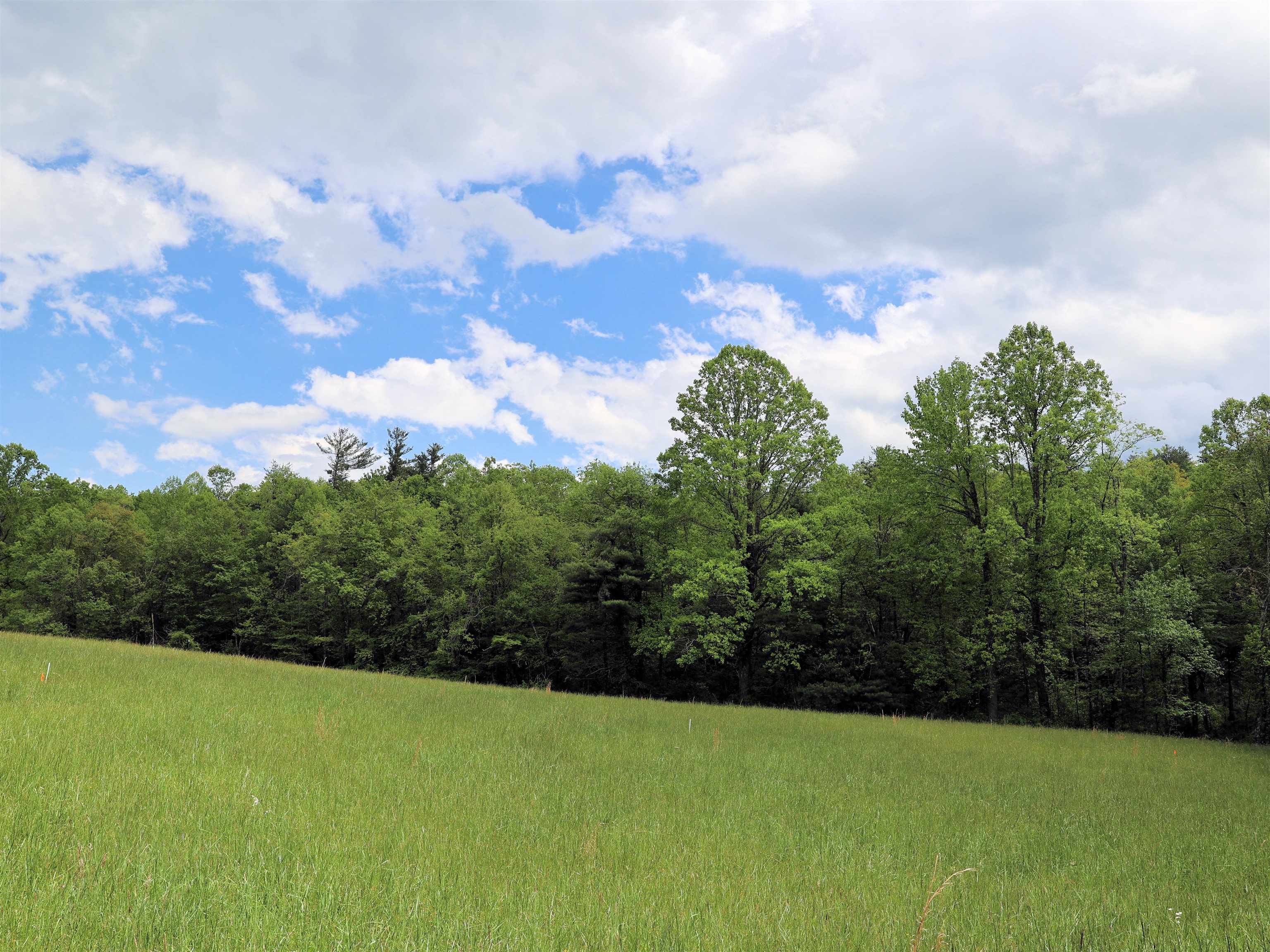 TBD Franklin Pike SE