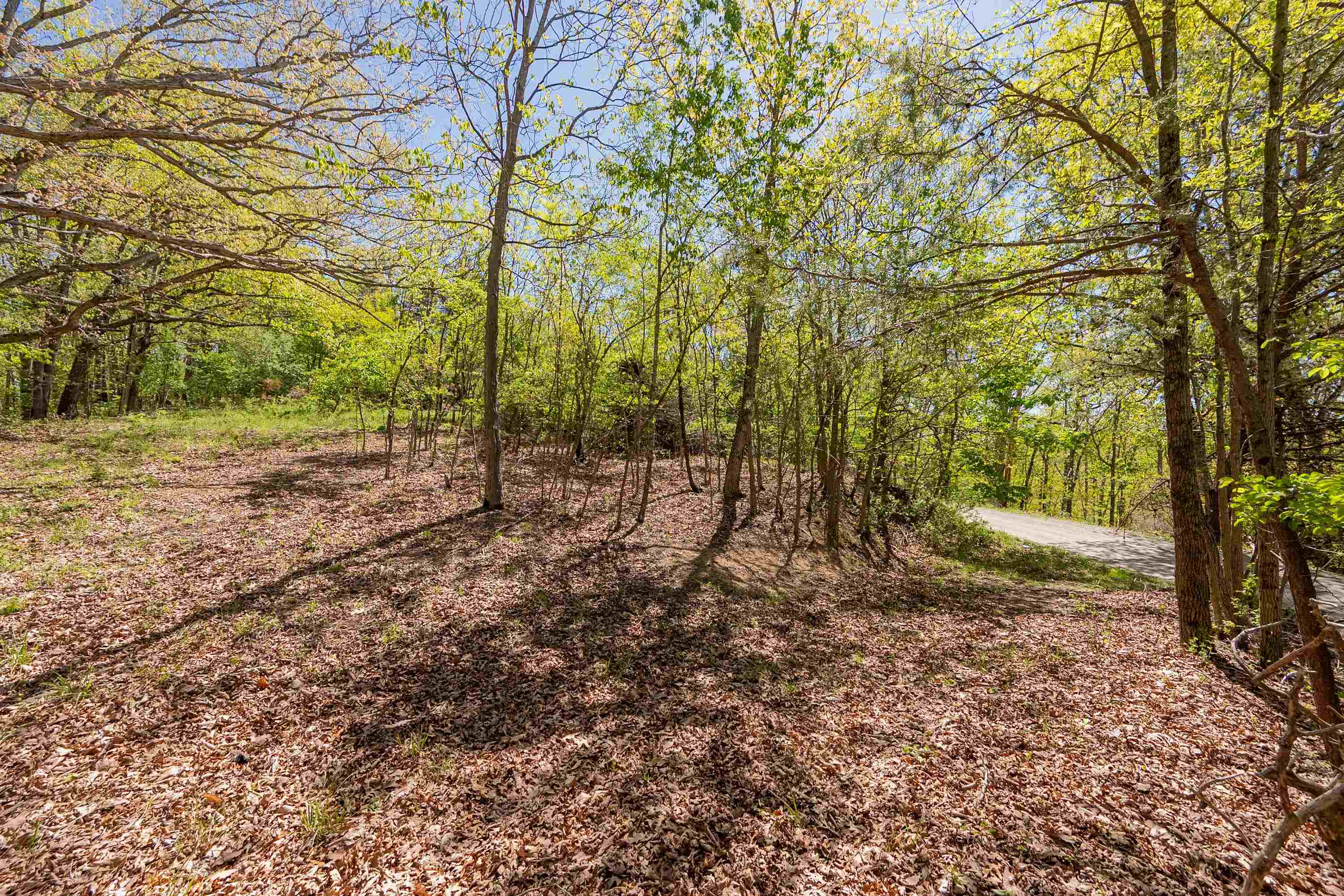 TBD Spaulding Road