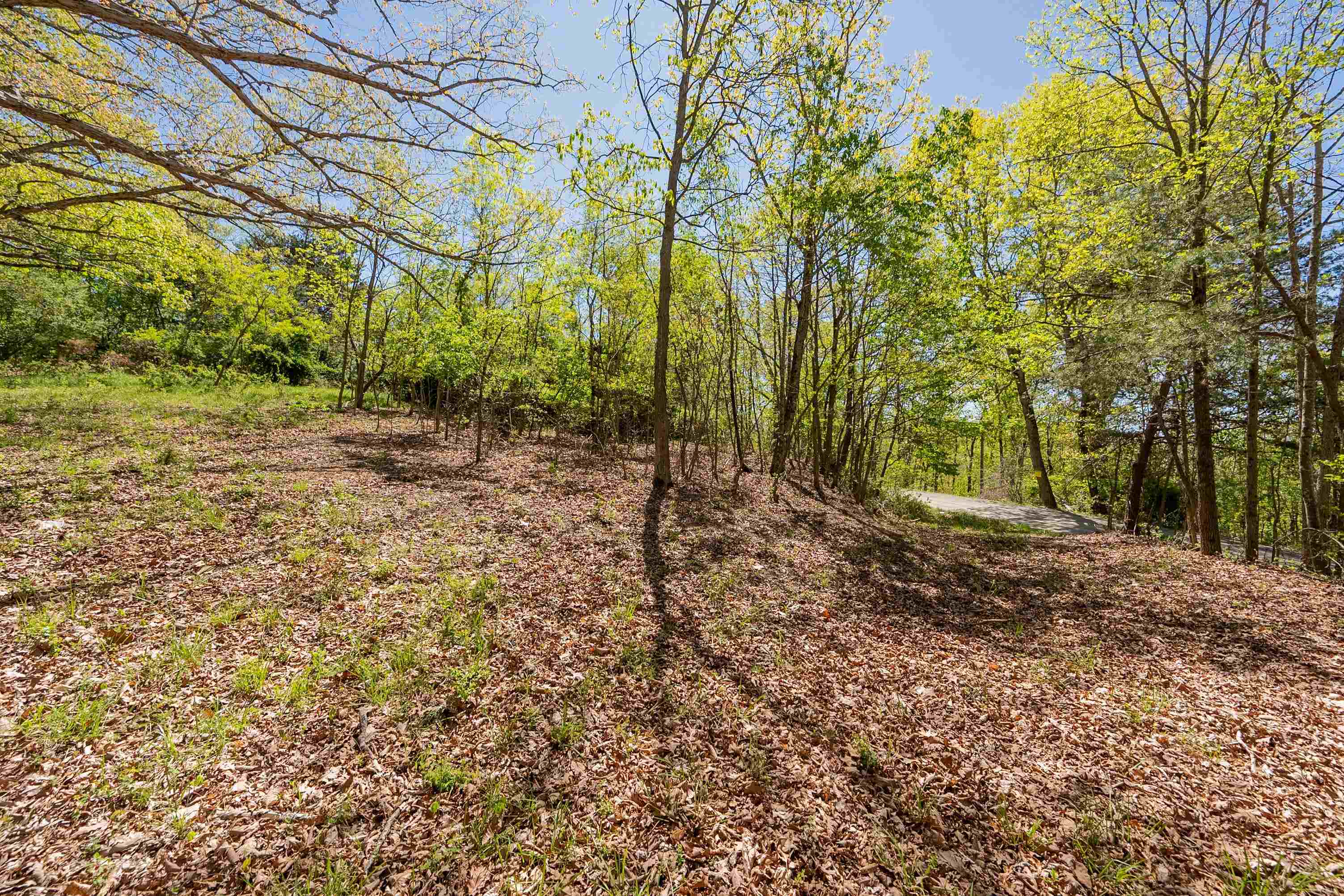 TBD Spaulding Road