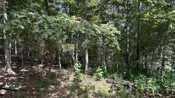 1820 MOUNTAINSIDE DR, BLACKSBURG, VA 24060 - Image 5b6adddfcb53445979b6136ea626bb4b/3091452437