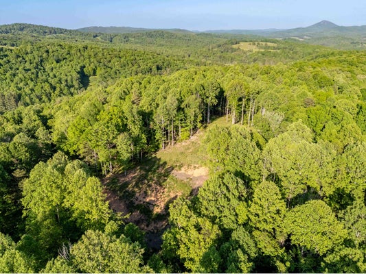 TBD DUGSPUR ROAD, DUGSPUR, VA 24325 - Image 5d31d7edee26cf450b8a36e85d51f835/1334181997