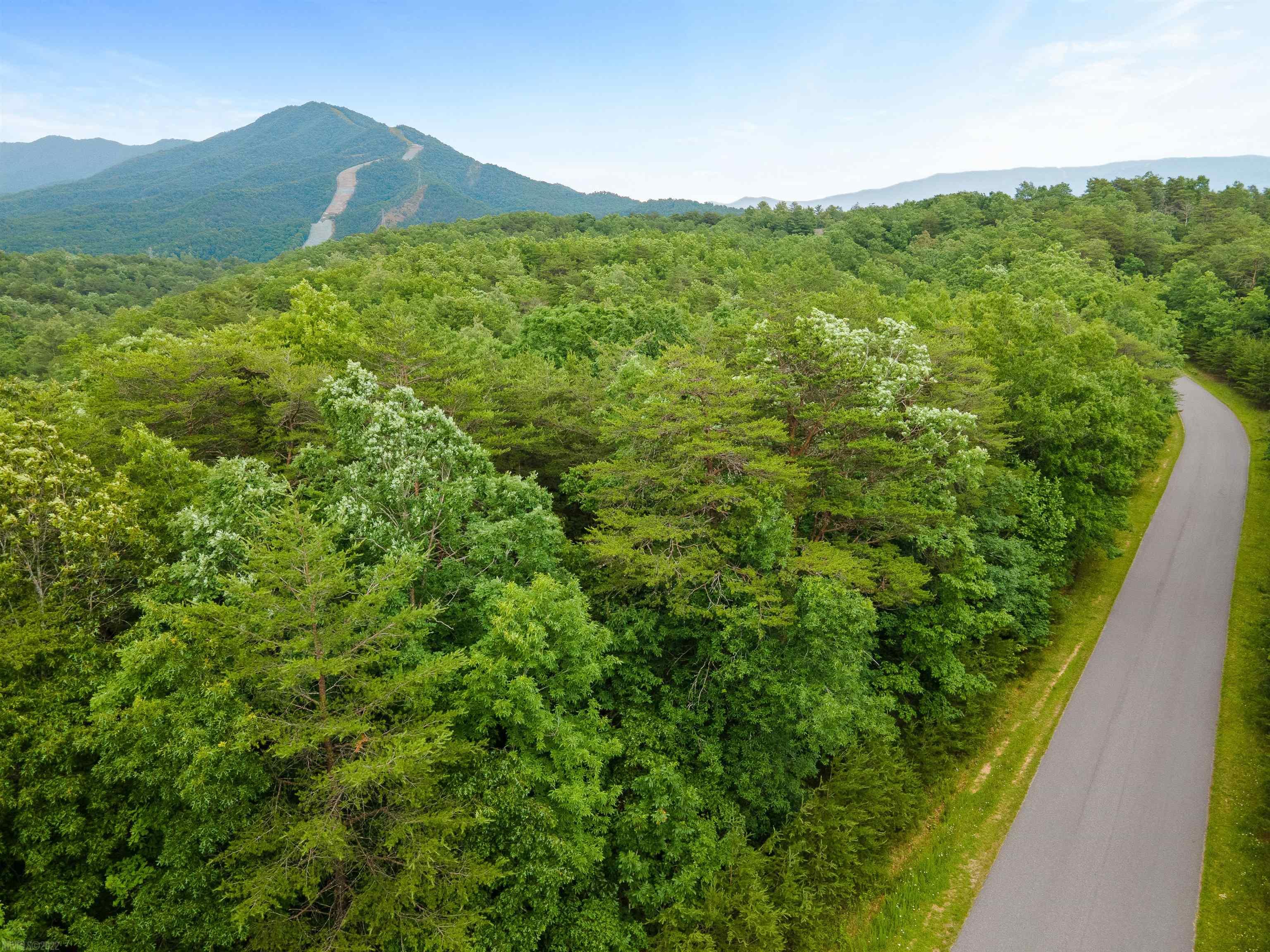 Elliston, Virginia 24087, United States, ,Land,Active,74718