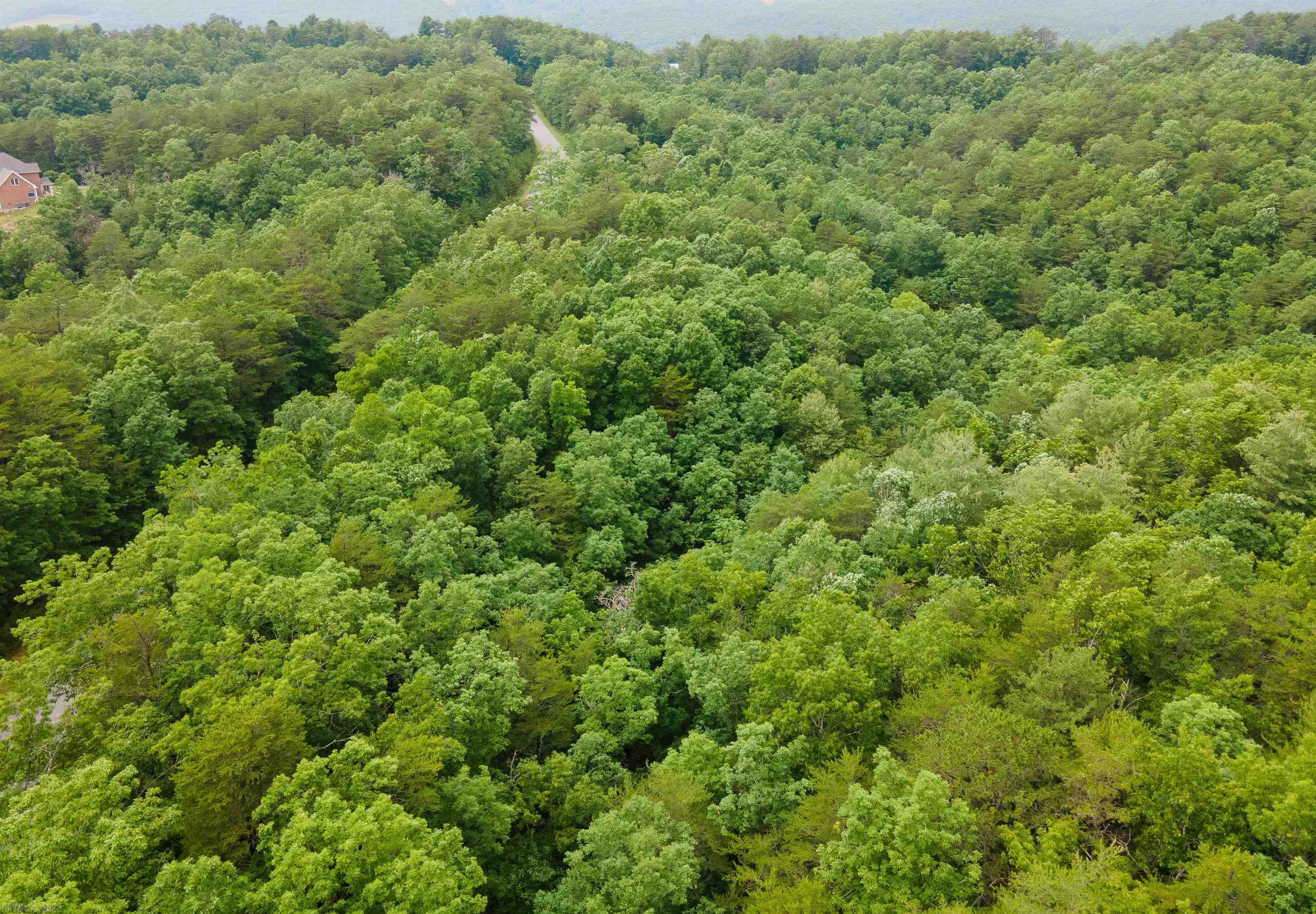 Elliston, Virginia 24087, United States, ,Land,Active,74718