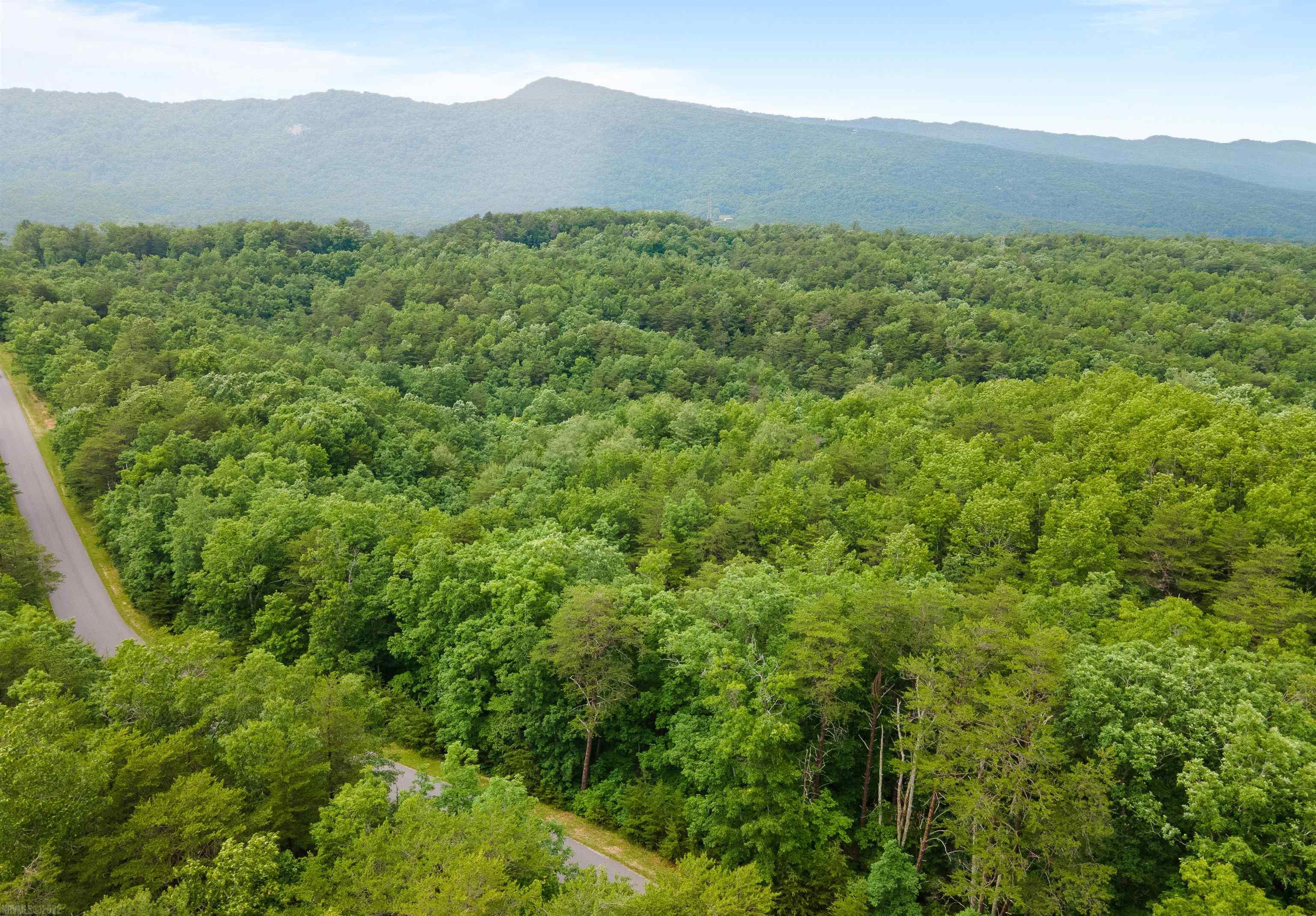 Elliston, Virginia 24087, United States, ,Land,Active,74718