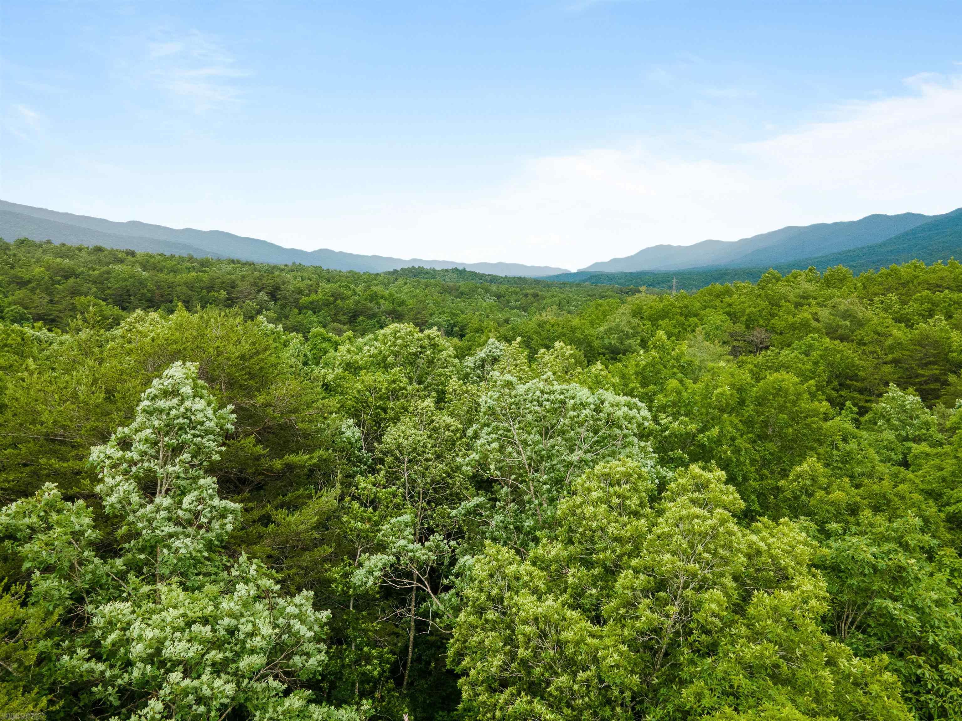 Elliston, Virginia 24087, United States, ,Land,Active,74718