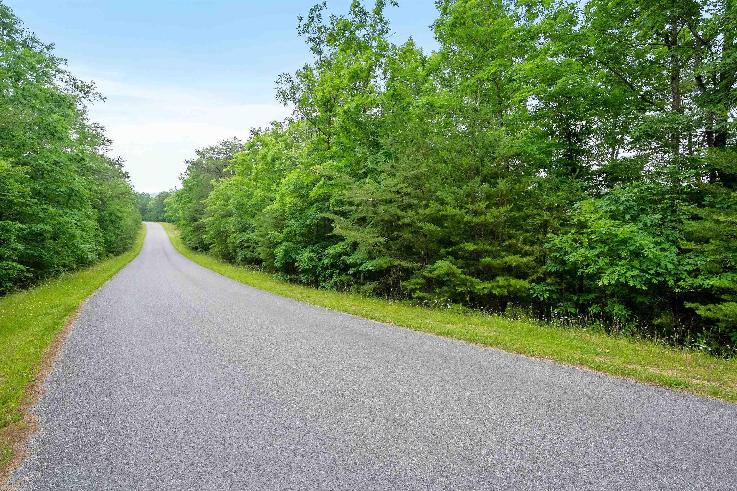 Elliston, Virginia 24087, United States, ,Land,Active,74718