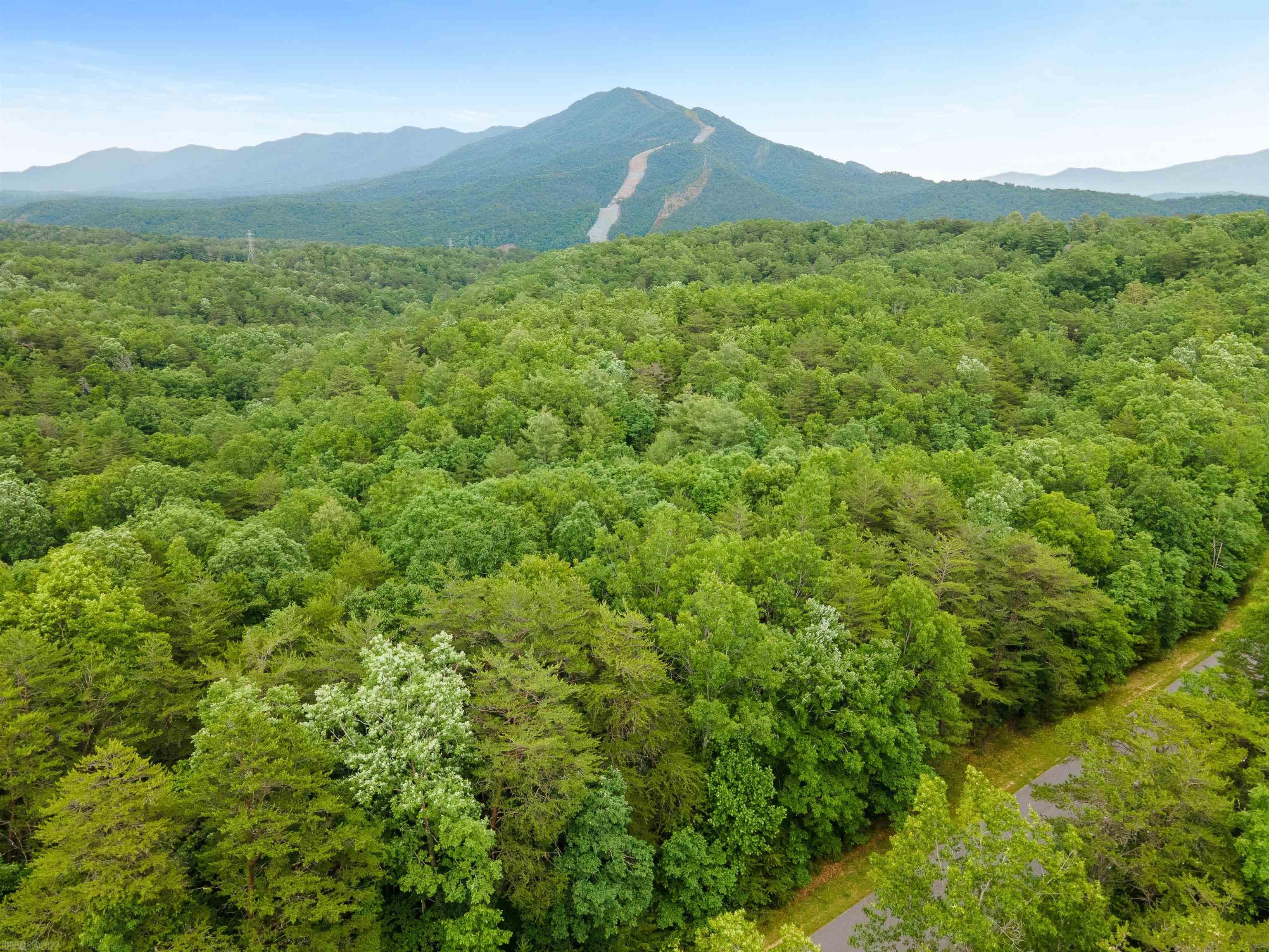 Elliston, Virginia 24087, United States, ,Land,Active,74718