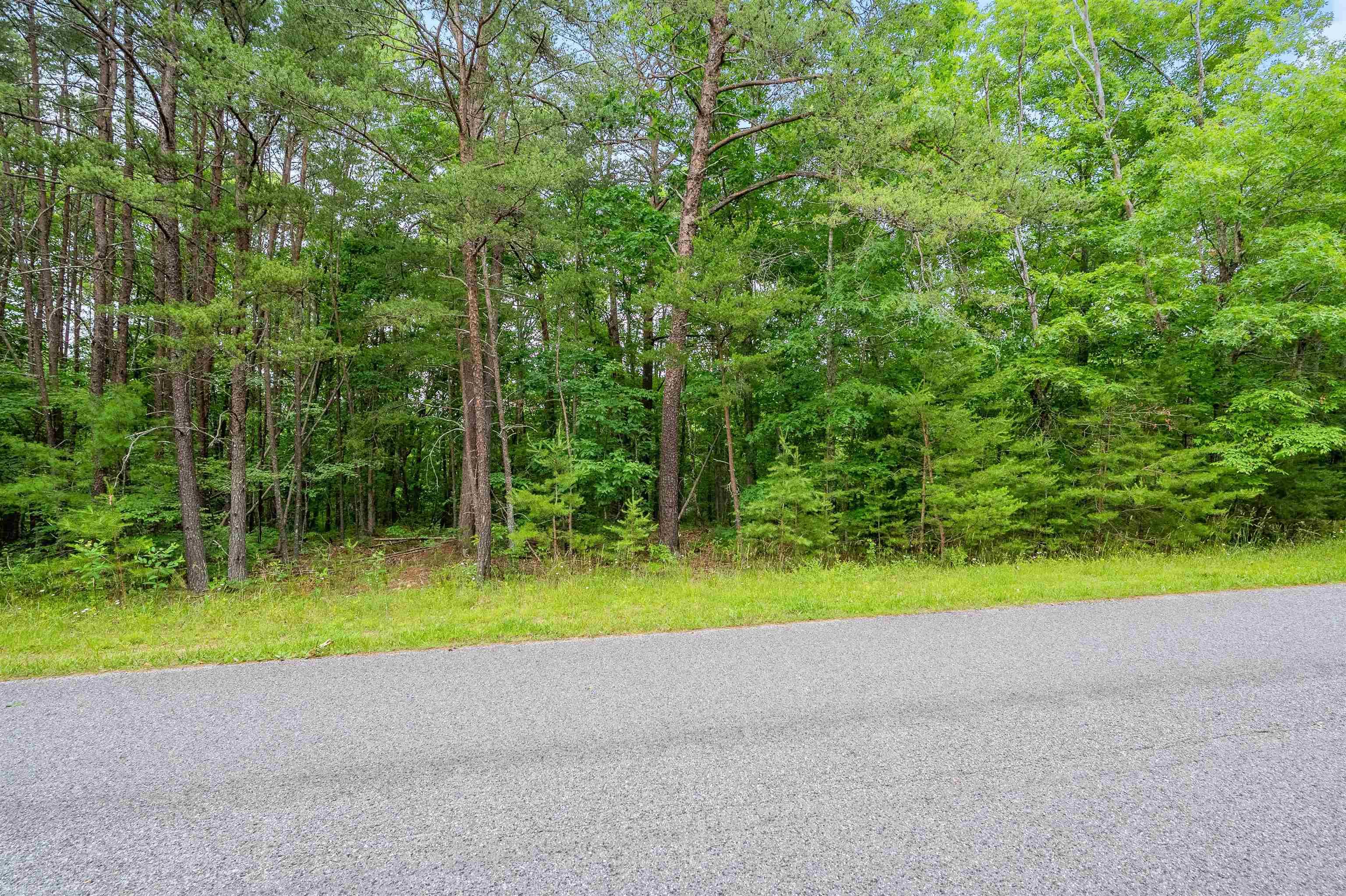 Elliston, Virginia 24087, United States, ,Land,Active,74718