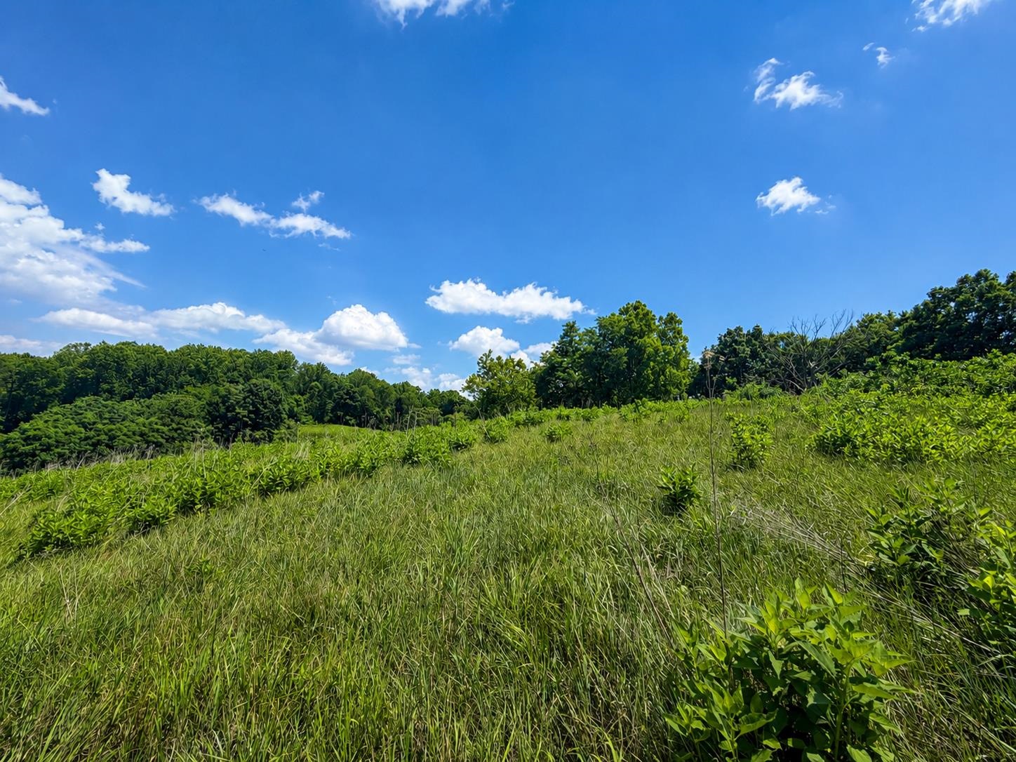 Lot 8 Panorama Drive