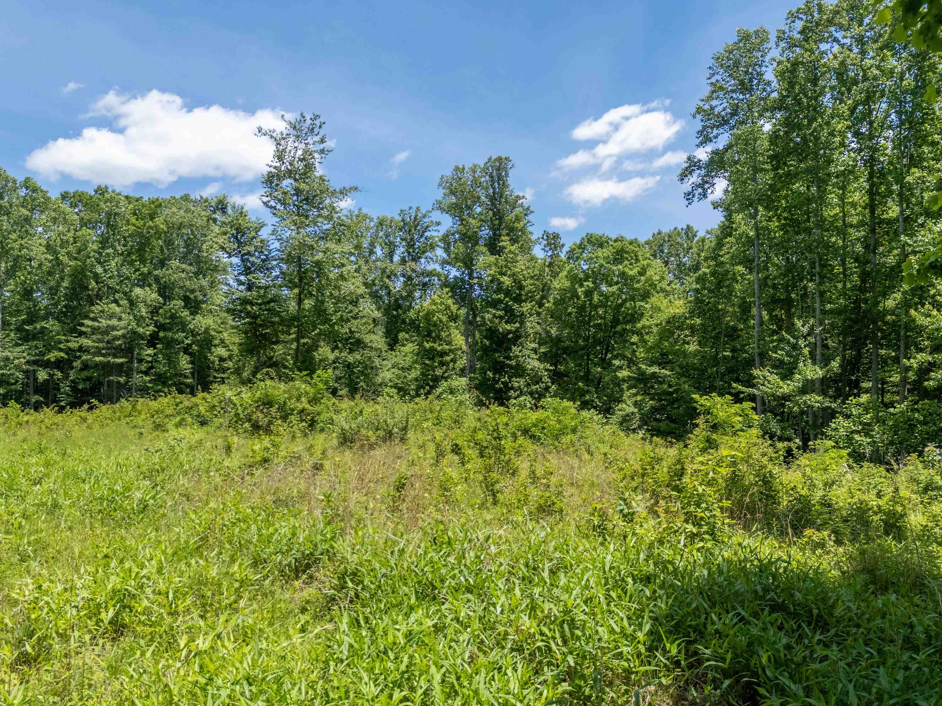 2307 Rush Fork Road SW