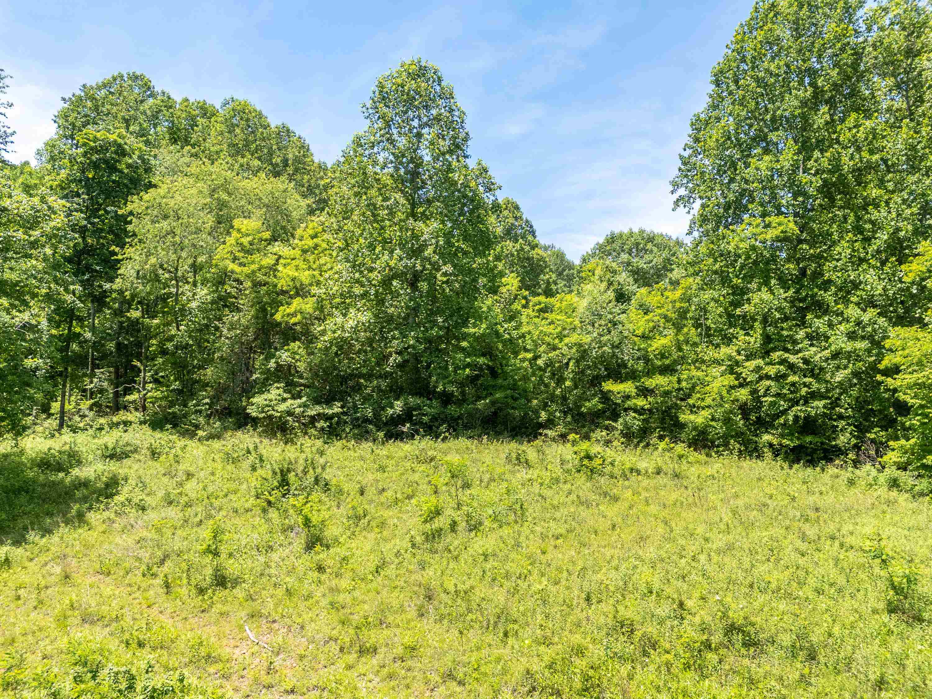 2307 Rush Fork Road SW