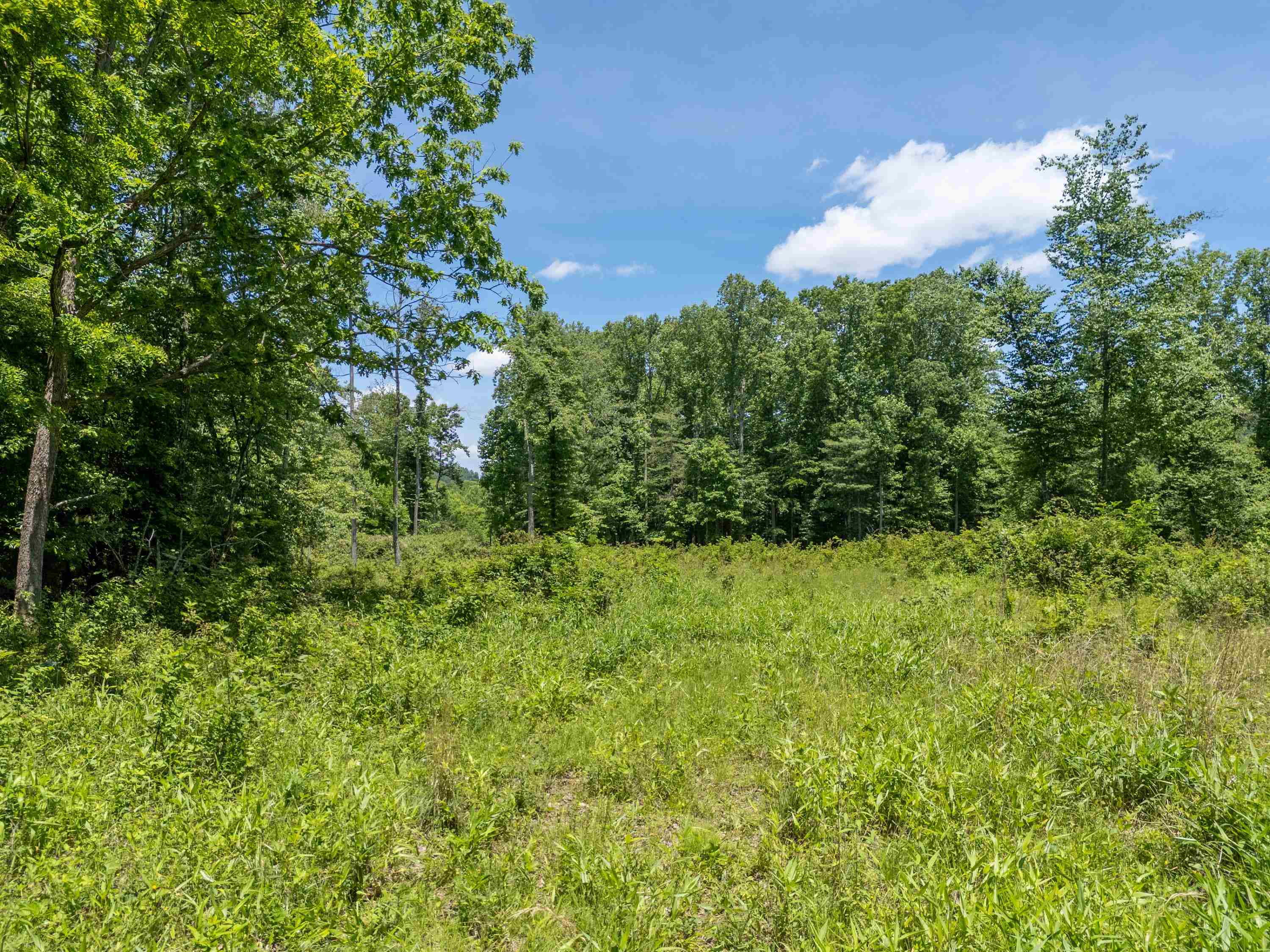 2307 Rush Fork Road SW