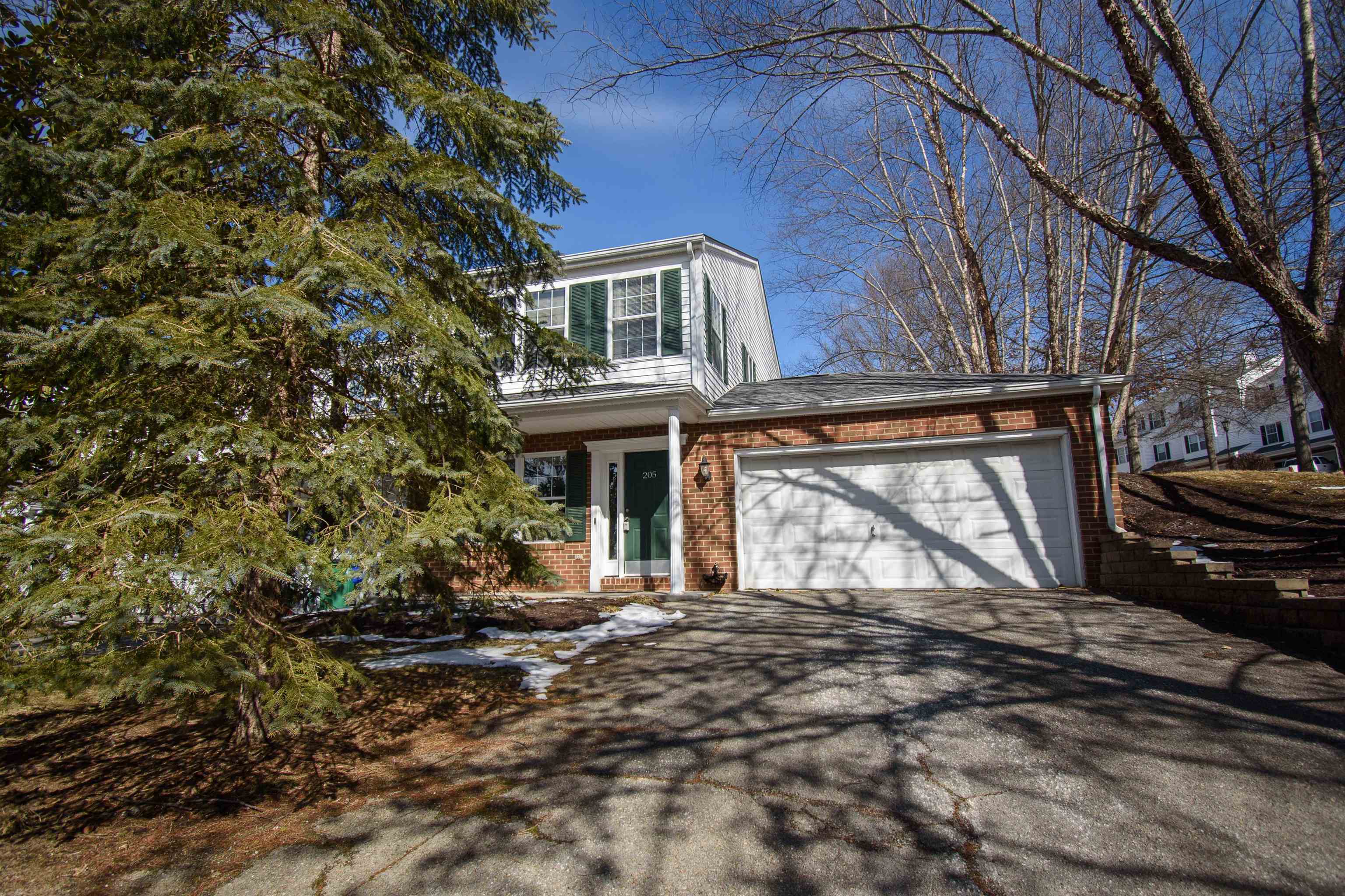 205 Bronze Leaf Drive