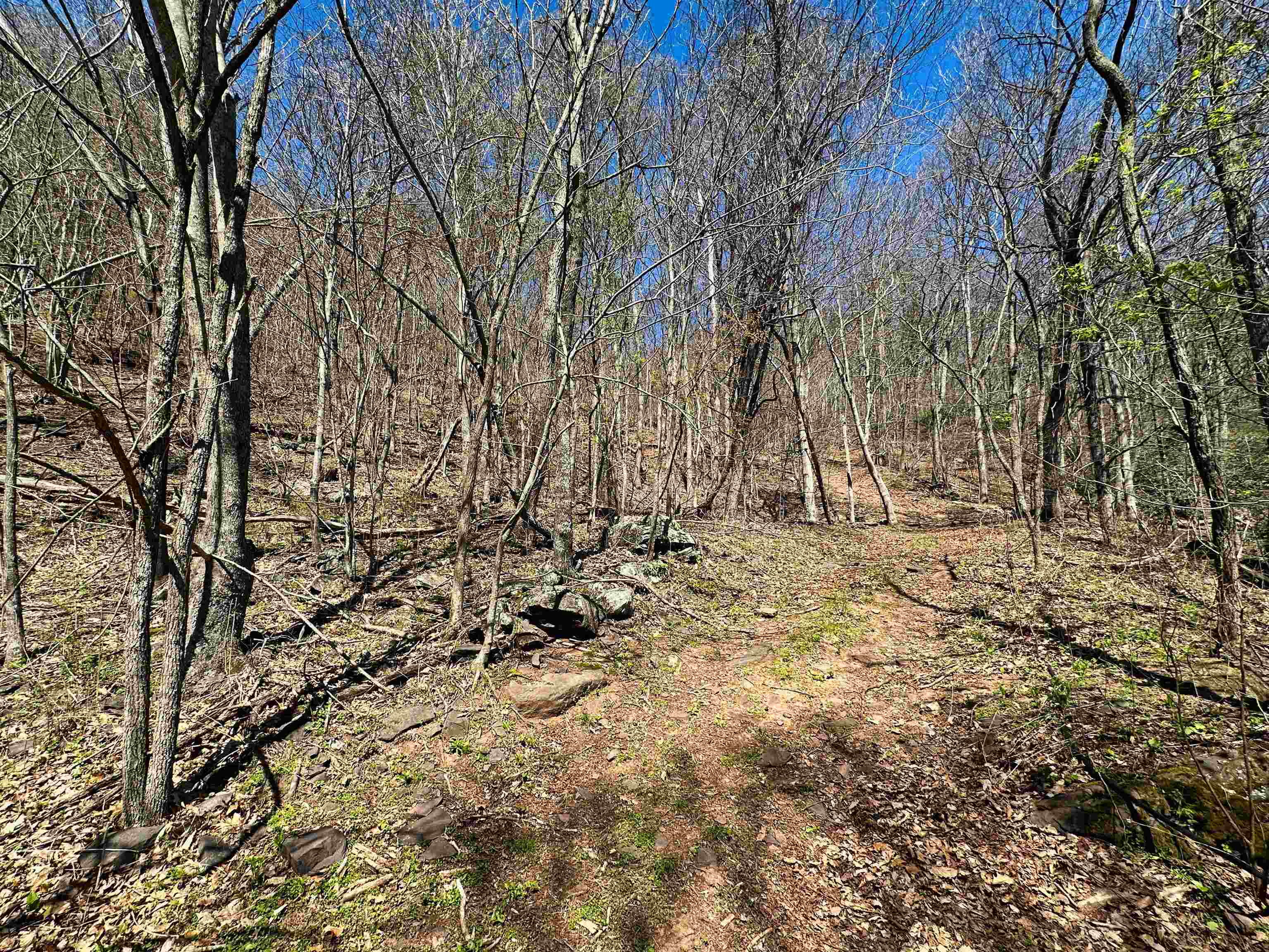 TBD MOUNTAIN LAKE Road