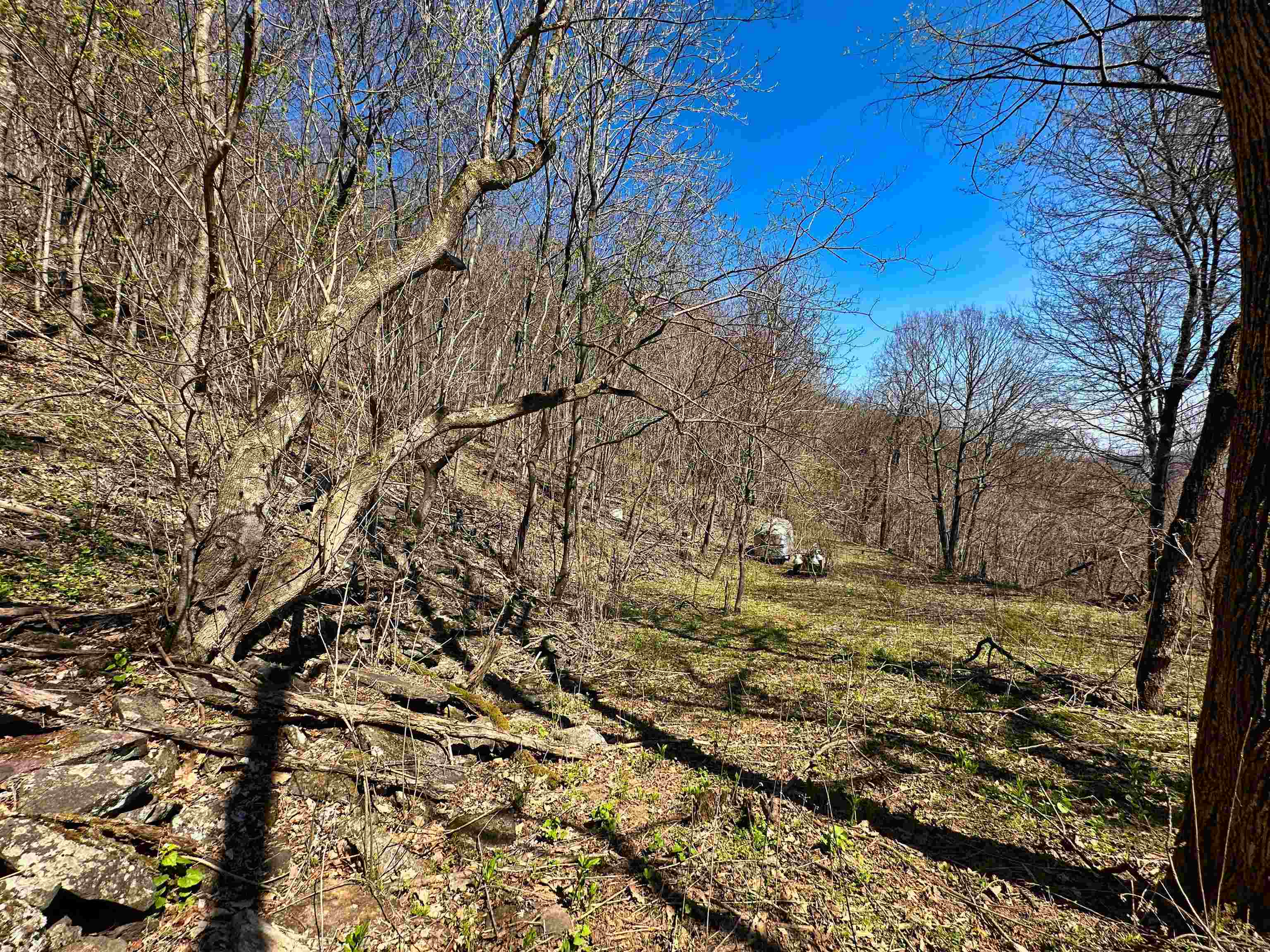 TBD MOUNTAIN LAKE Road