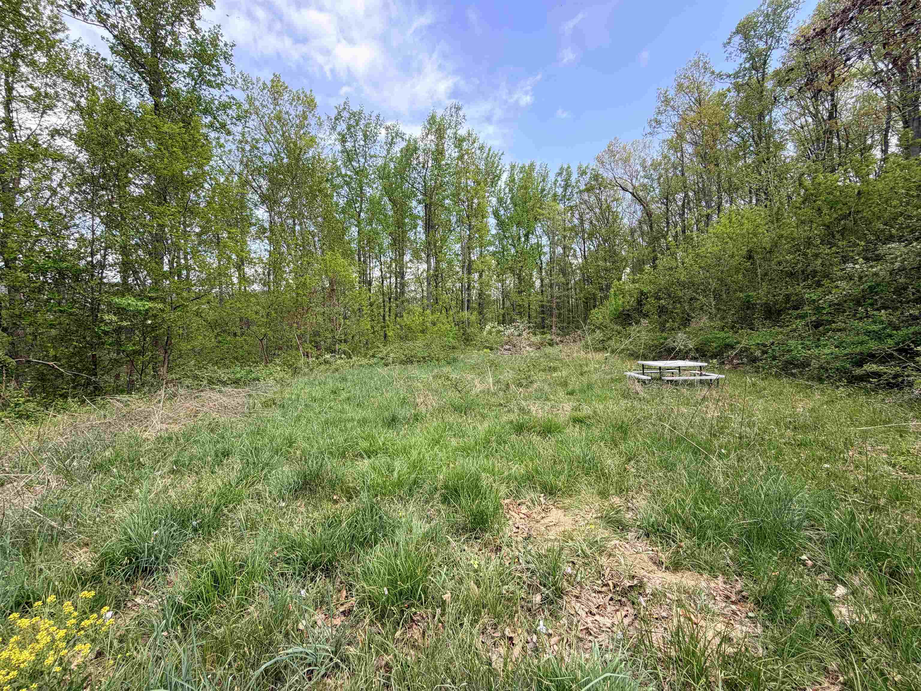 TBD Hidden Meadow Drive