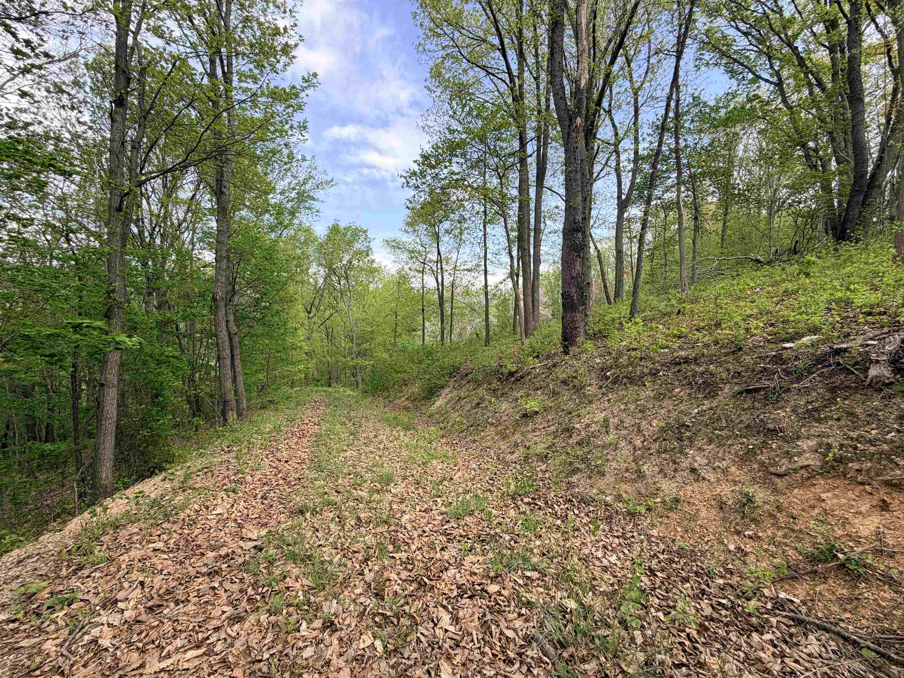 TBD Hidden Meadow Drive