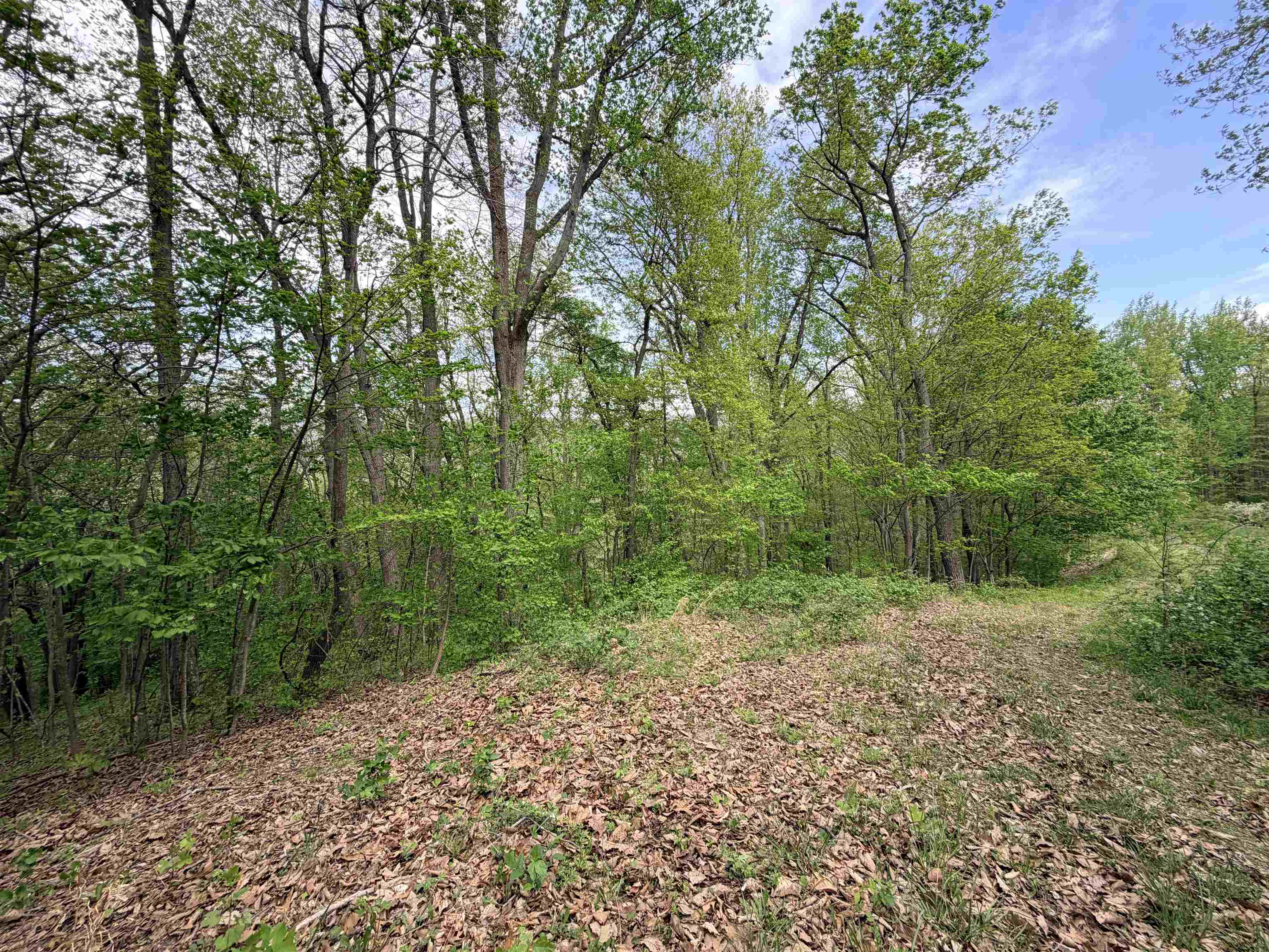 TBD Hidden Meadow Drive