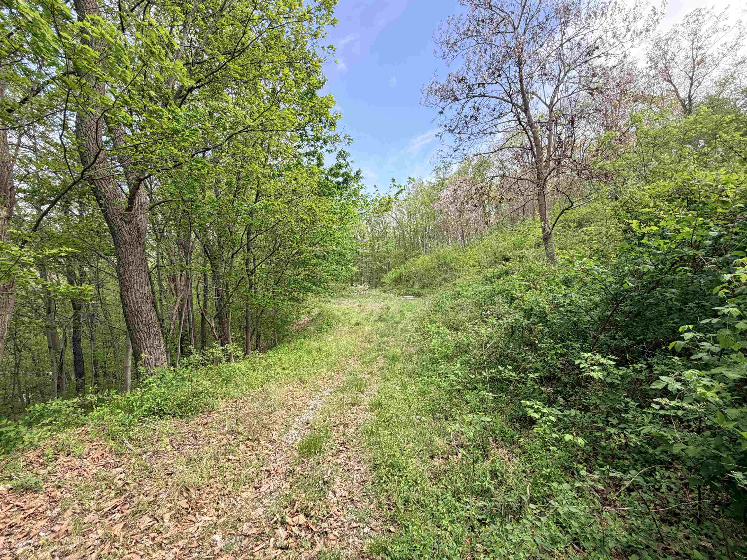 TBD Hidden Meadow Drive