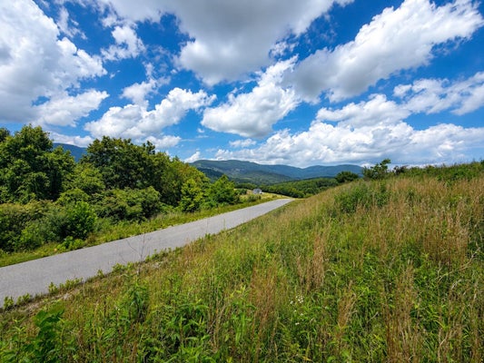 124 GREEN TREE RD, PEMBROKE, VA 24136 - Image a6caefe082eab0c54812e7f0b6c666b0/107647170