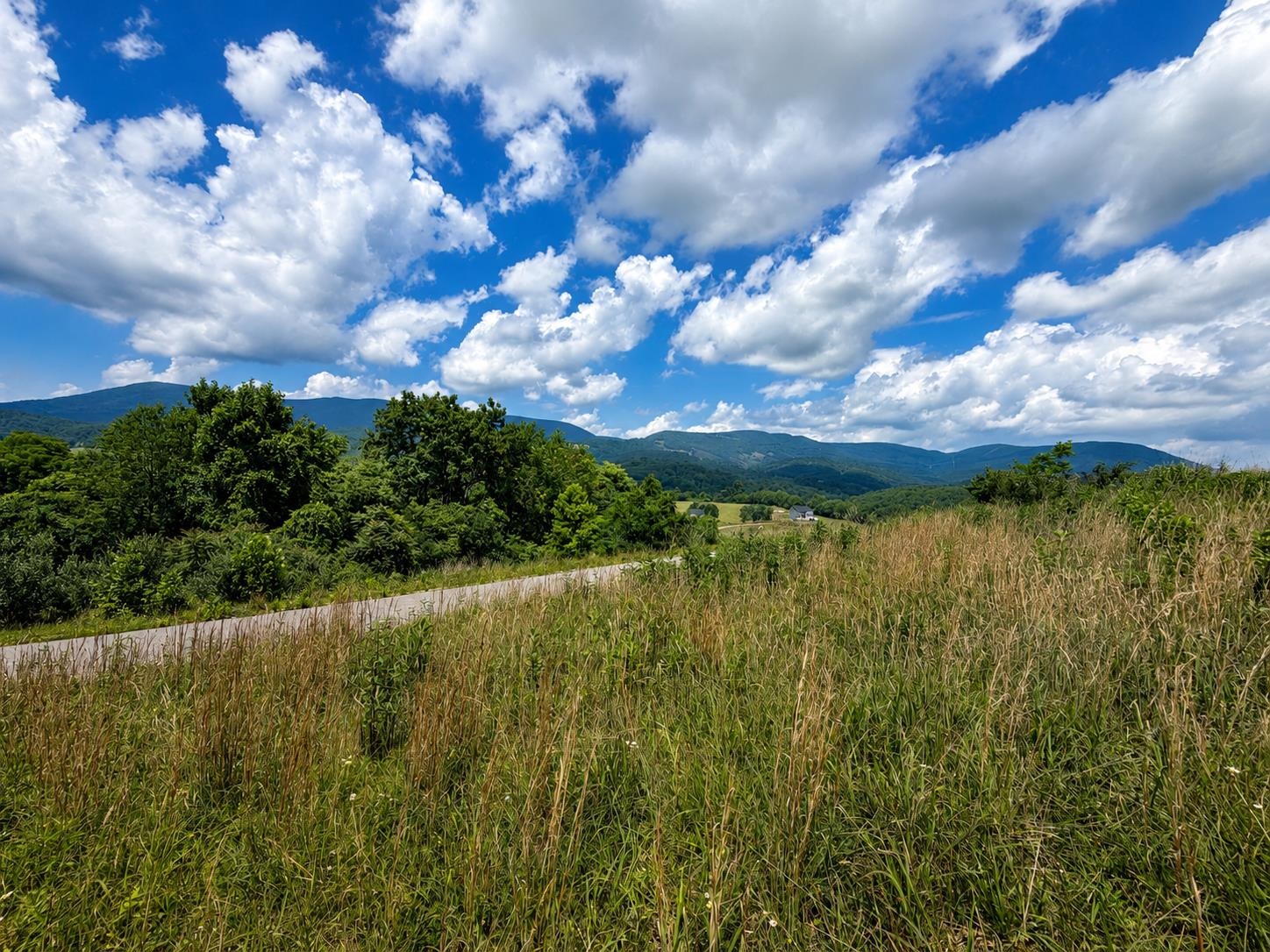 Lot 4 Green Tree Road