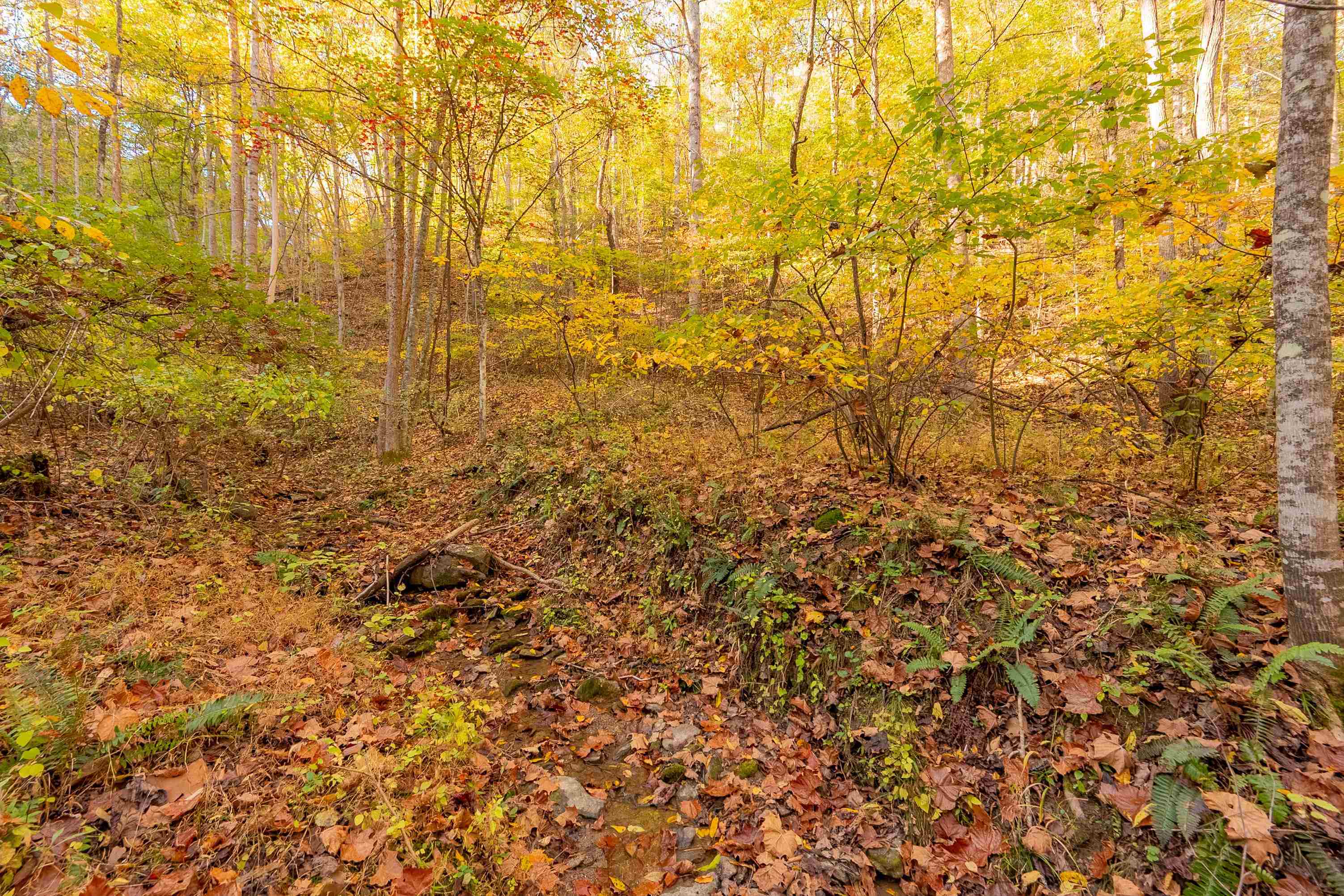 Check, Virginia 24072, United States, ,Land,Active,235565