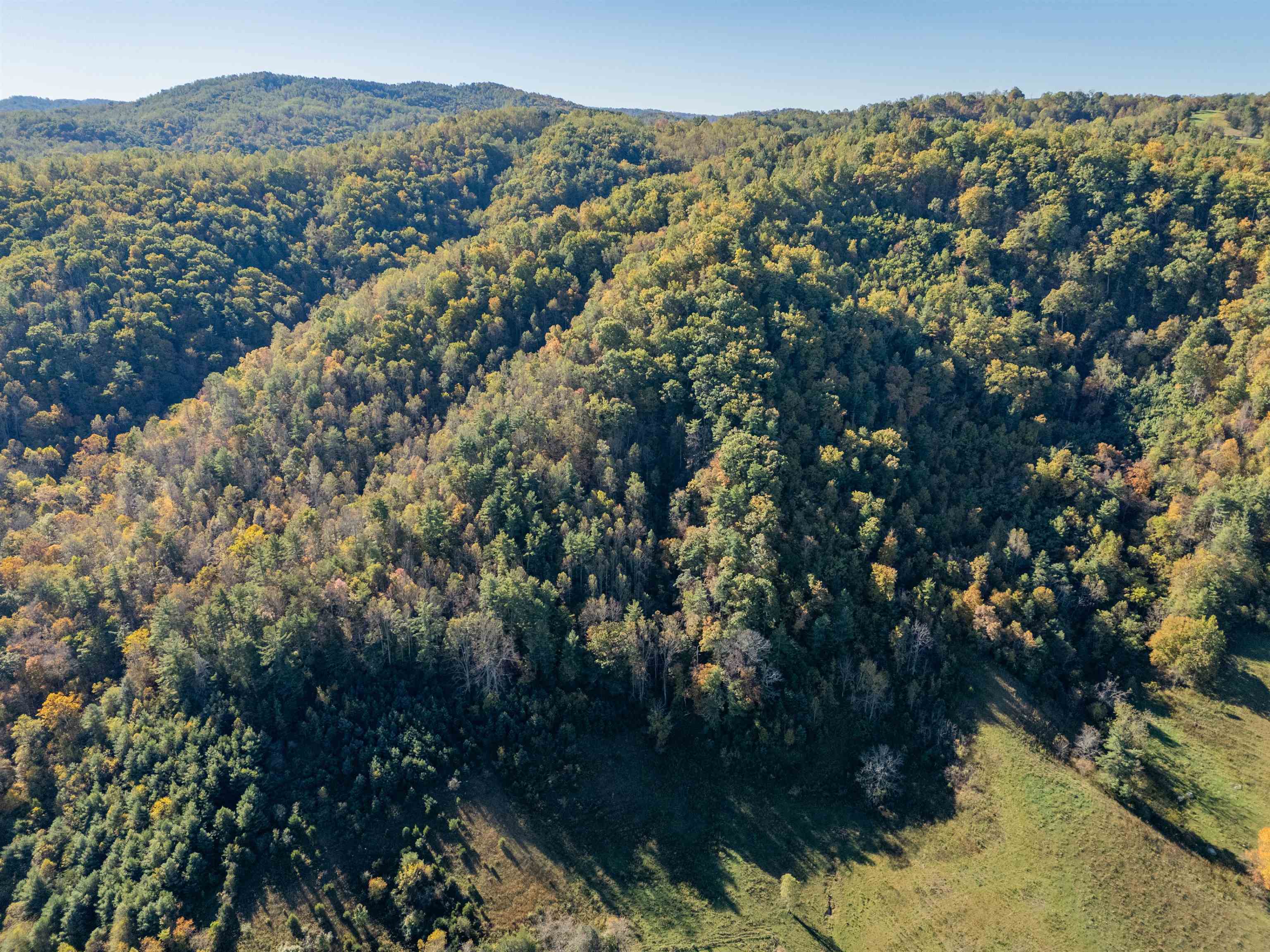 Check, Virginia 24072, United States, ,Land,Active,235565